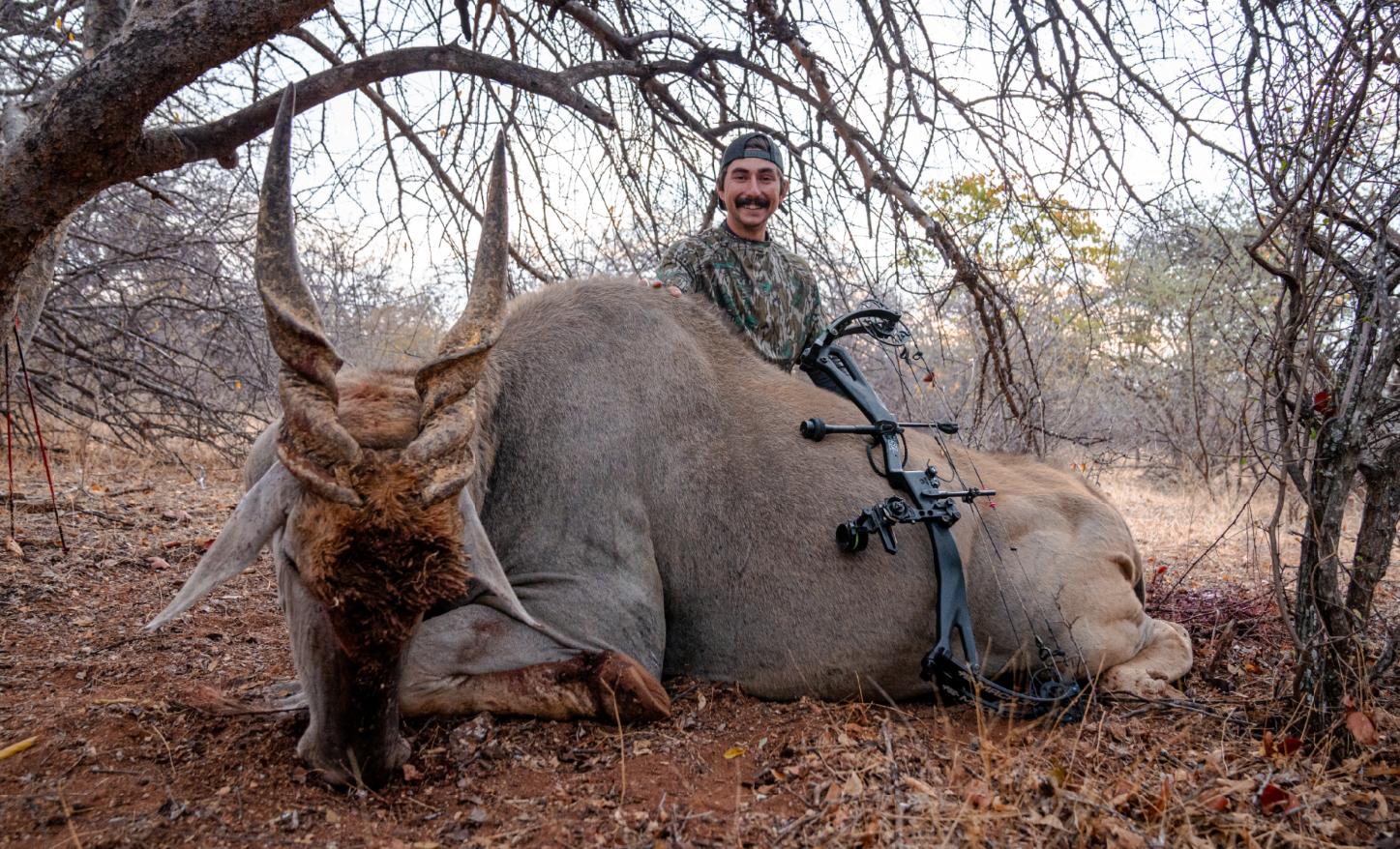 A man smiling on a hunting stand features a dead elk lying on the ground with a bow placed on it, surrounded by trees and dry grass.