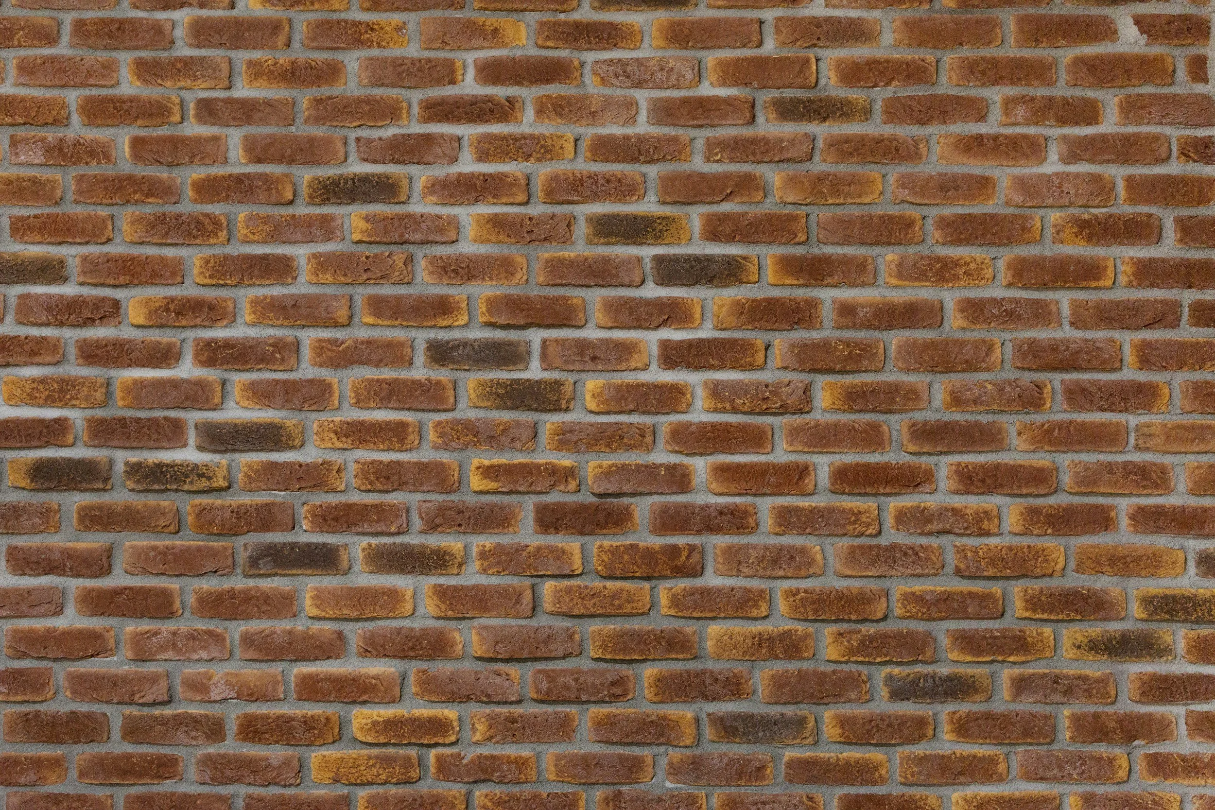 A brick wall made of reddish-brown bricks with gray mortar.