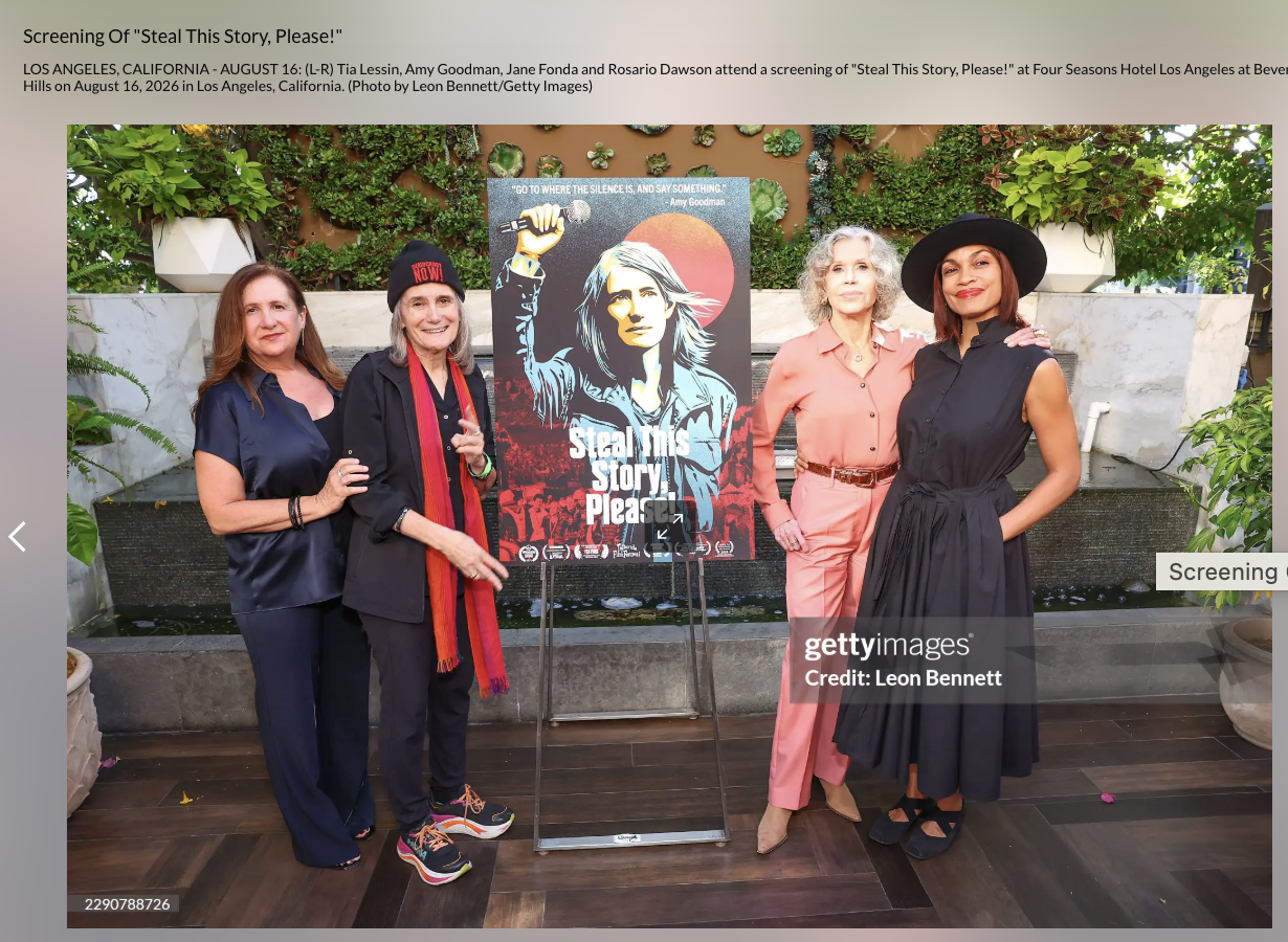 GETTY IMAGES: Screening Of ‘Steal This Story, Please!’