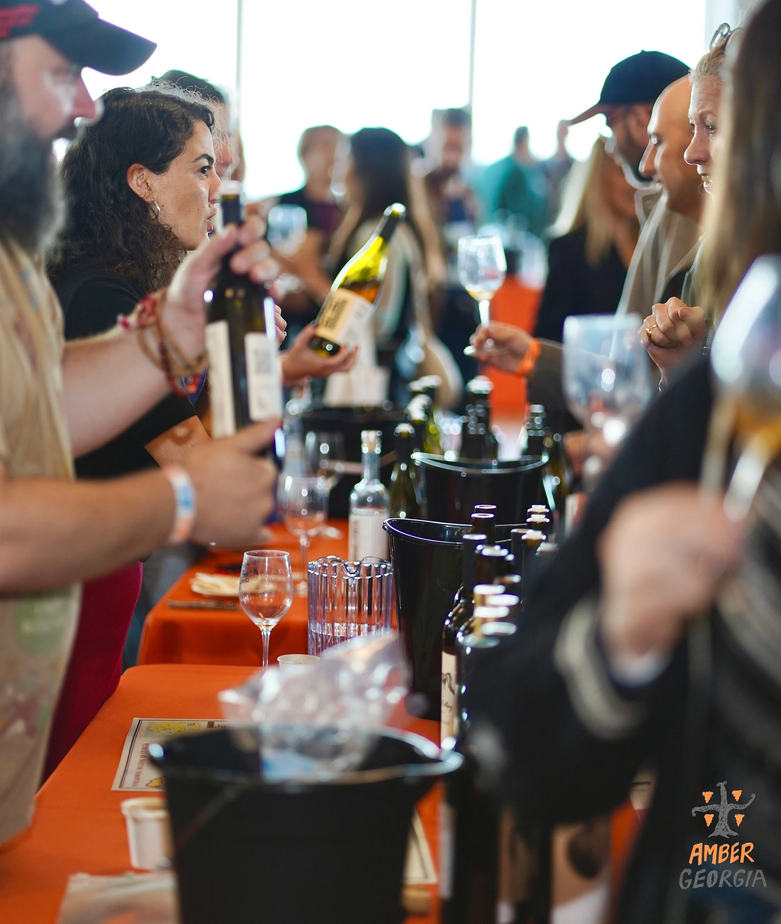 DSC08358(1)-2 2.JPEG