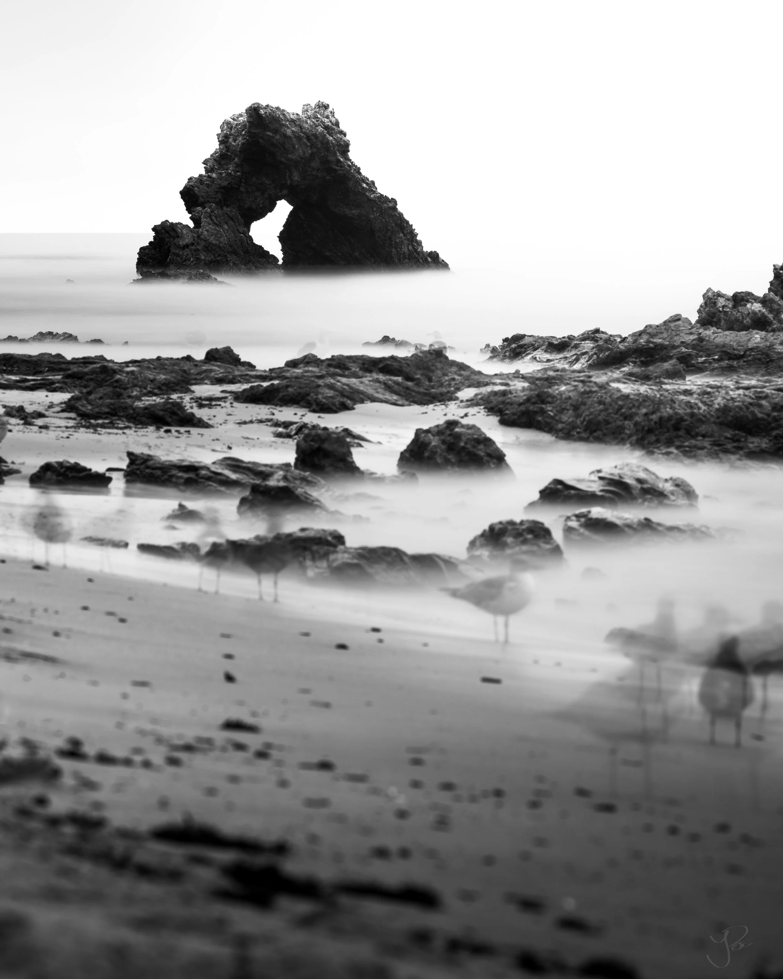 arch rock seagullls.jpg
