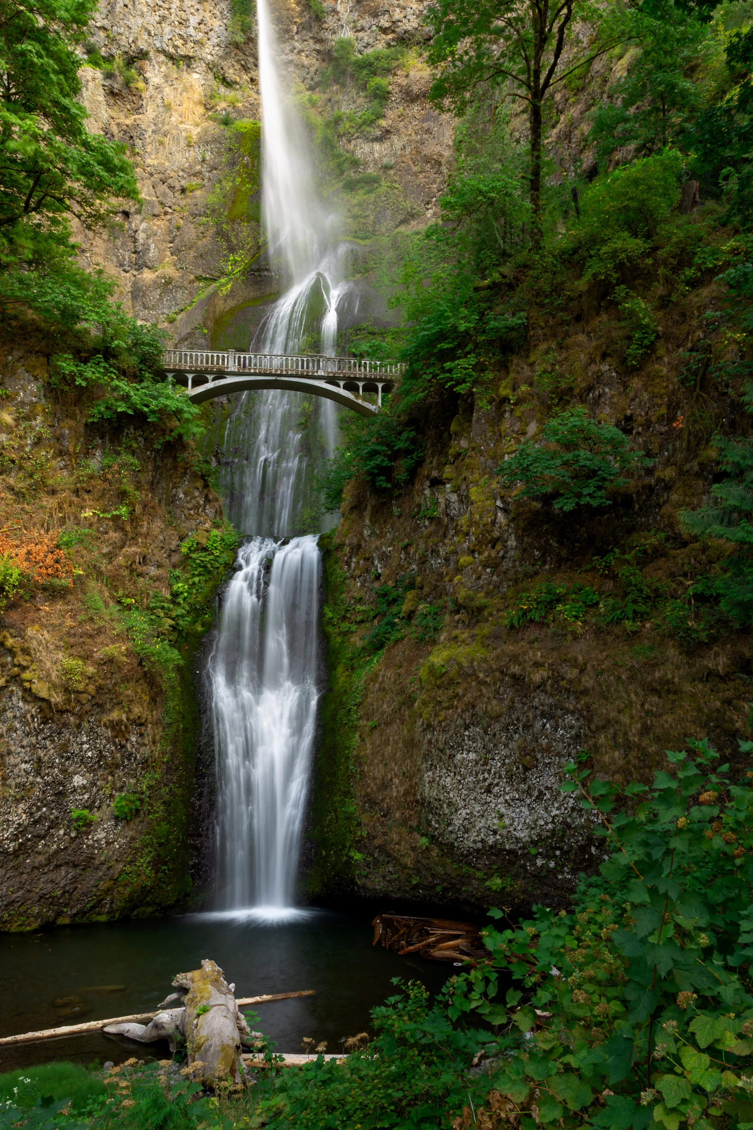 Summer at Multnomah Falls