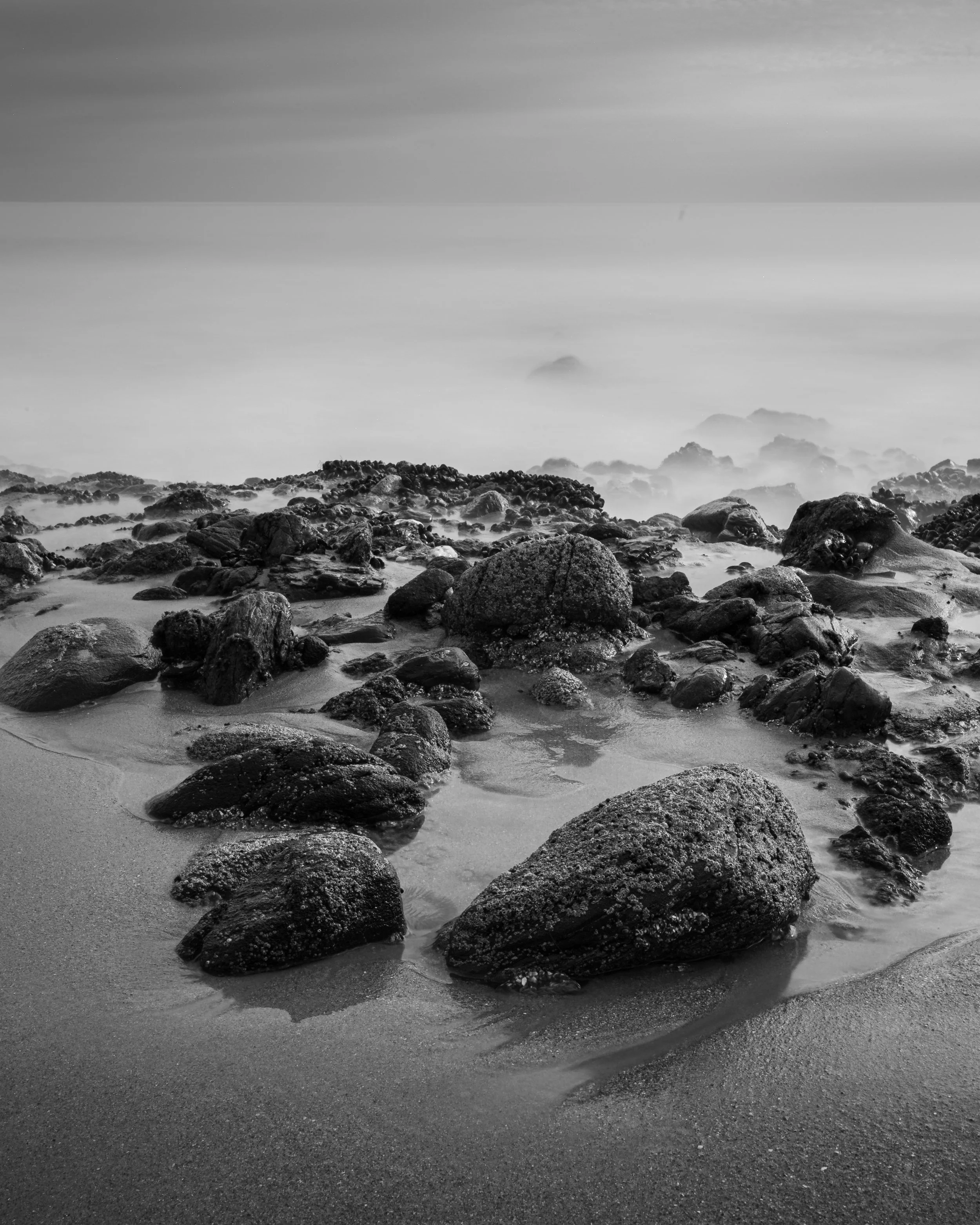 Shaws Cove 8-25.jpeg