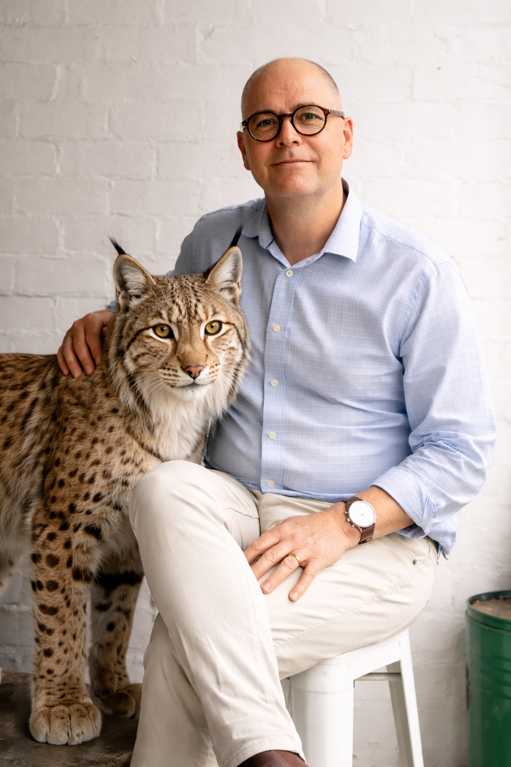 A lynx visited me in my therapy clinic!