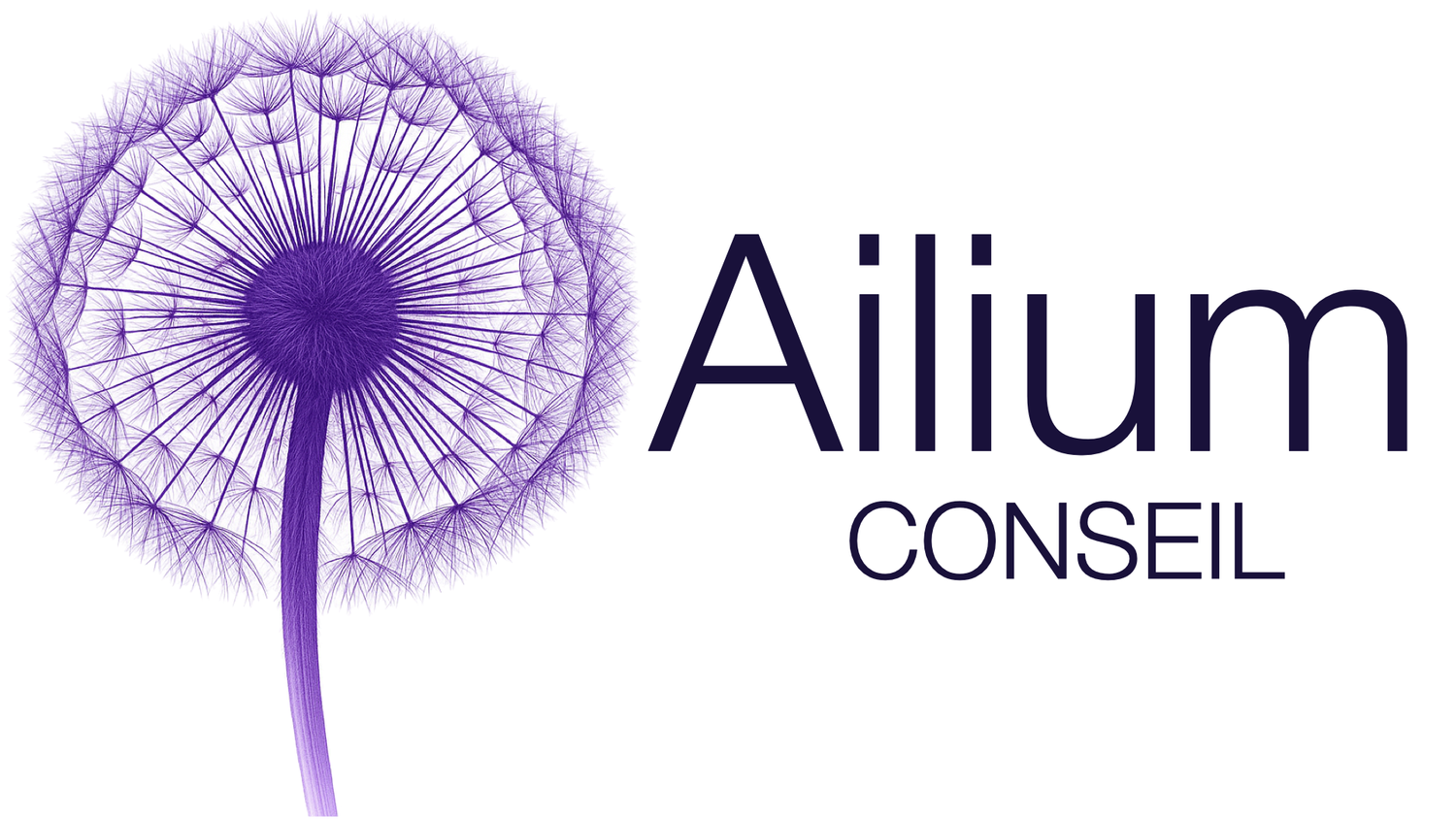 Ailium Conseil