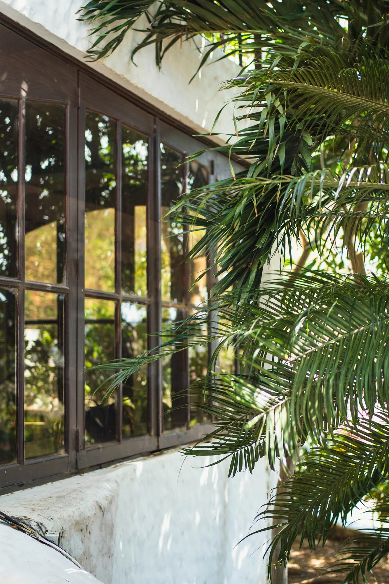 Green plants and architecture at retreat centre, retreat spaces photography