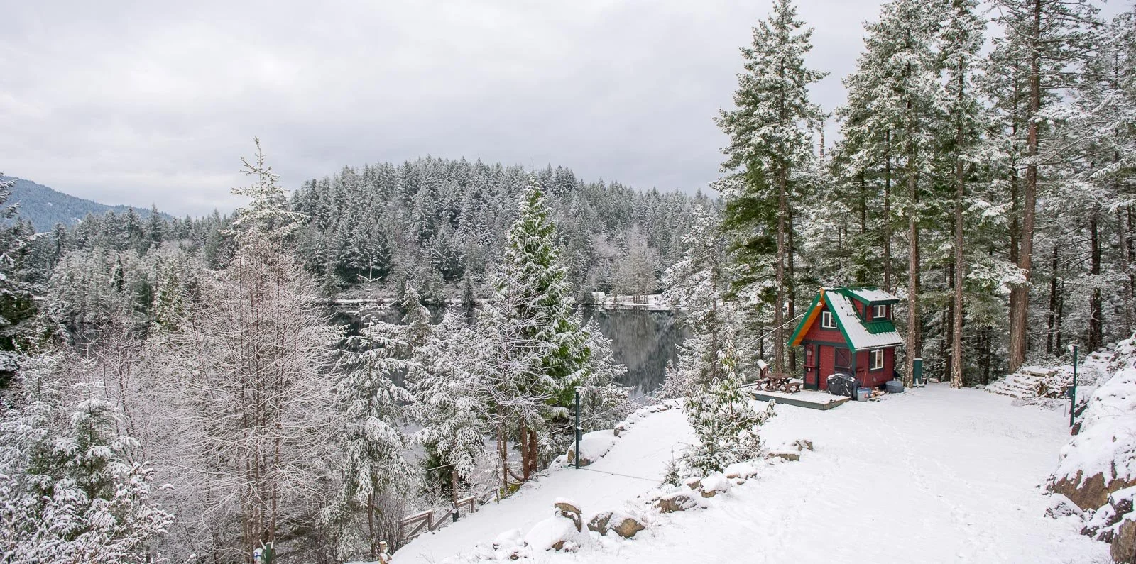Winter cabin in forest, architecture photography Nova Scotia