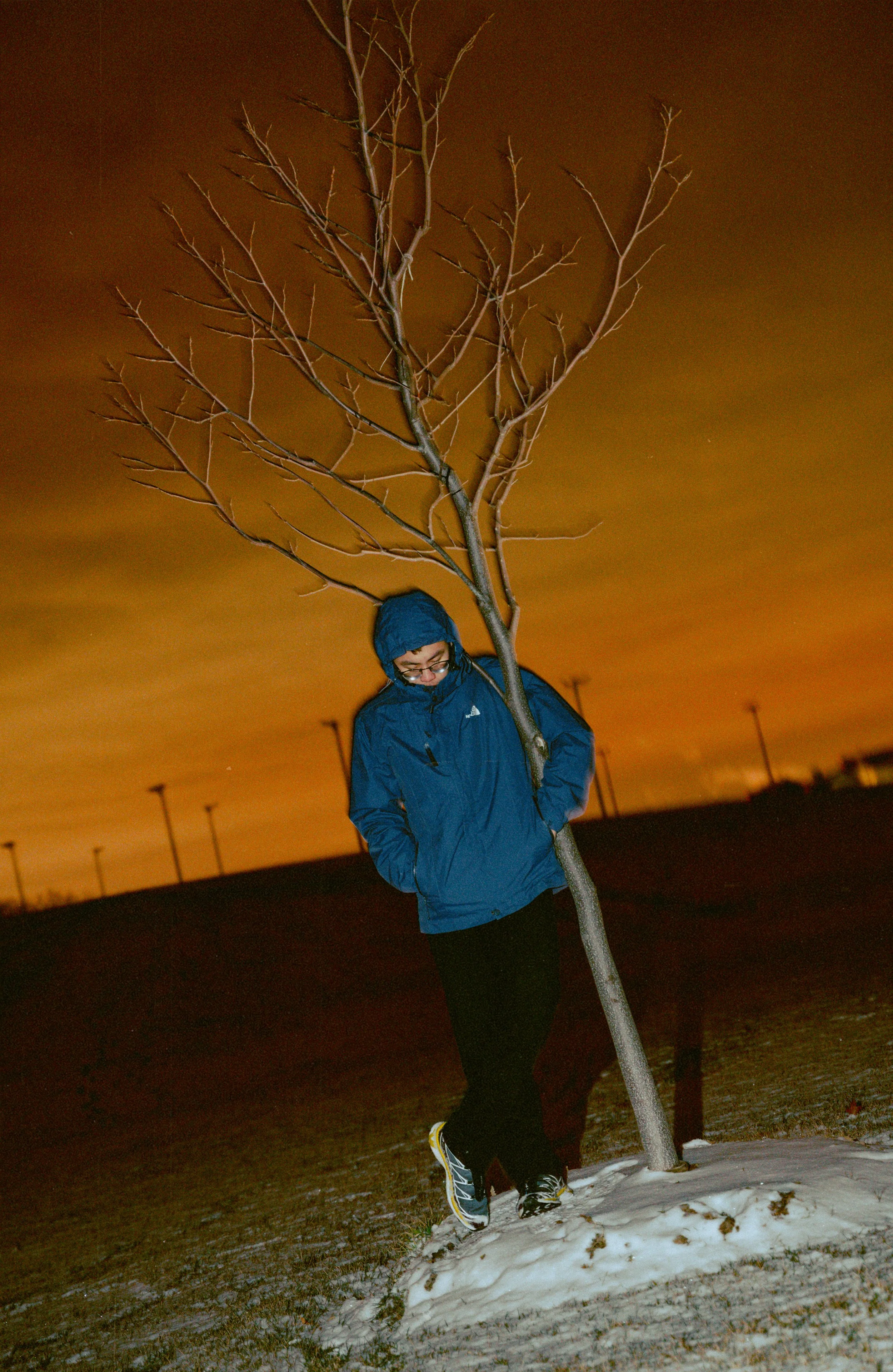 A person in a blue jacket and glasses stands with their head tilted downward, leaning against a leafless tree in a snowy landscape at night, with an orange sky and streetlights in the background.
