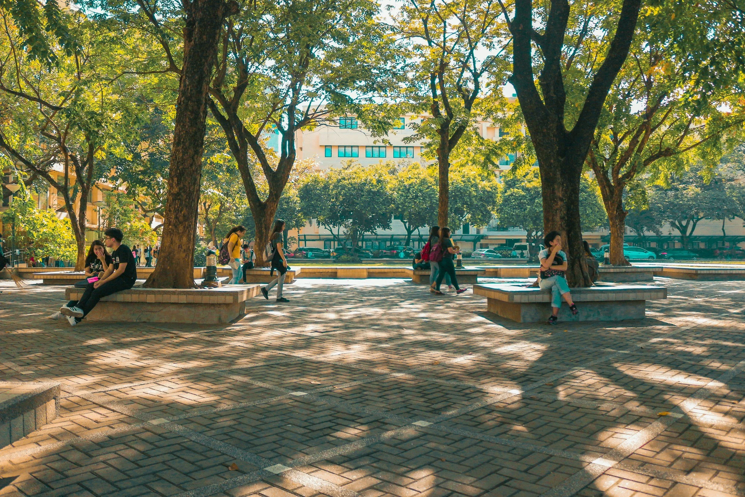 People sitting on benches under trees in a city park during daytime, with some walking and others talking, surrounded by parked cars and buildings.