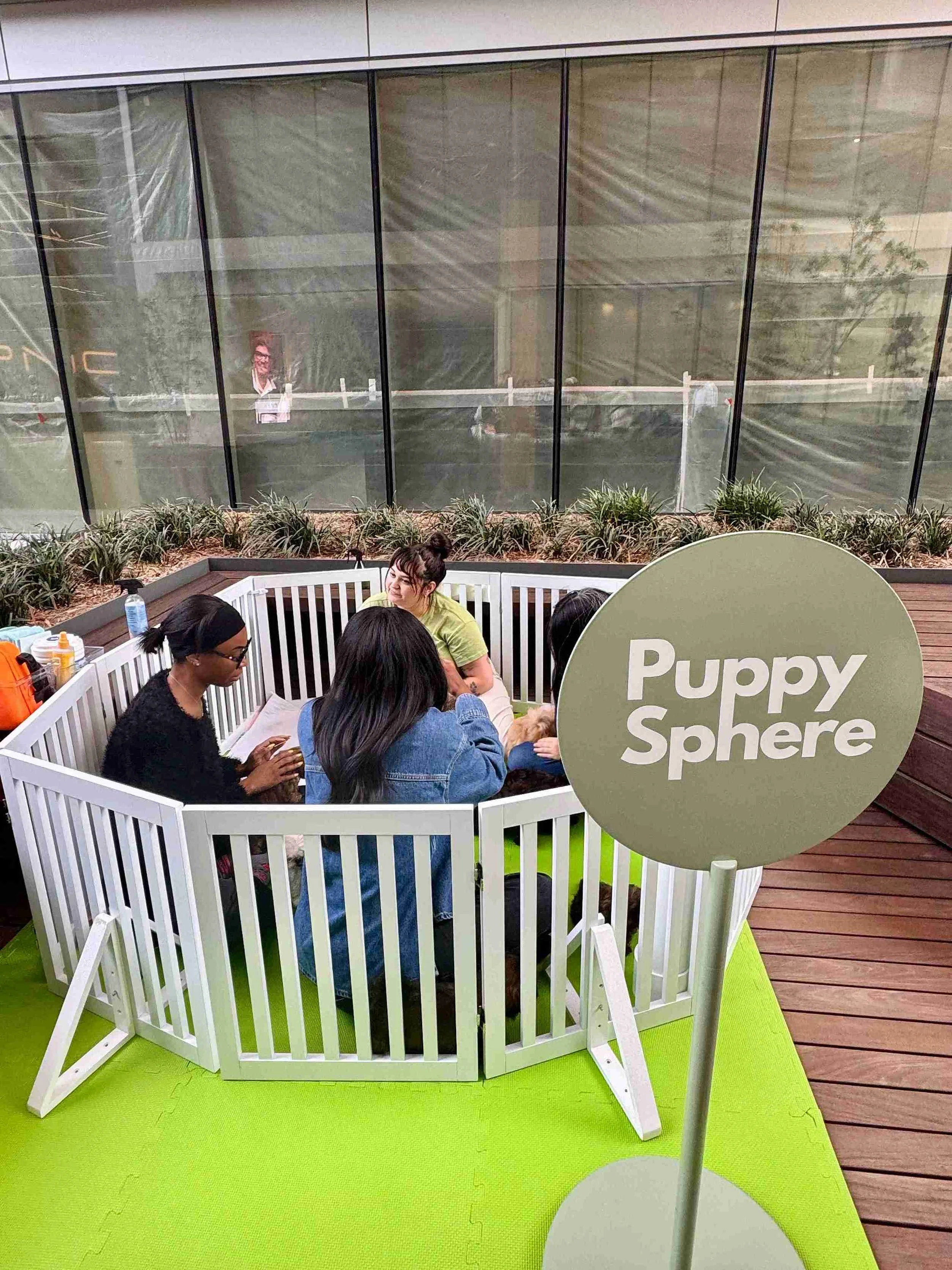 Member Event - Puppy Social