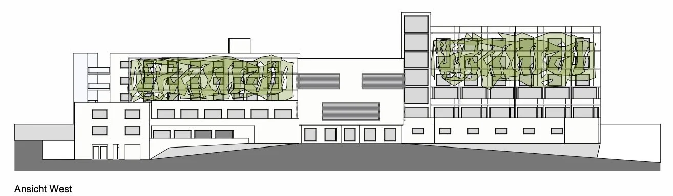 Bild 11.12.25 um 11.23.jpeg