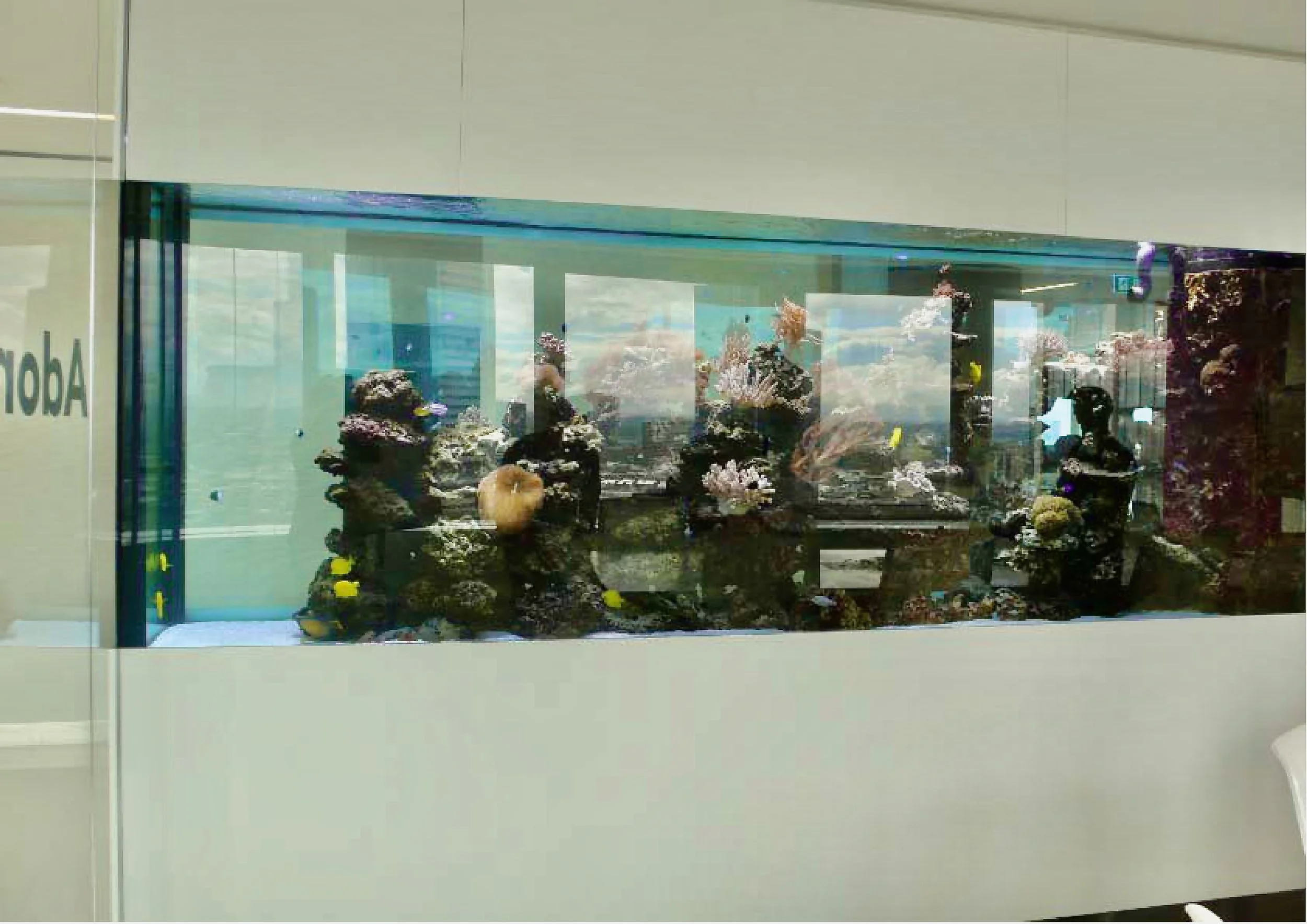 FA_BLP_F10_Progress Pictures_110913-bilder-16.jpeg