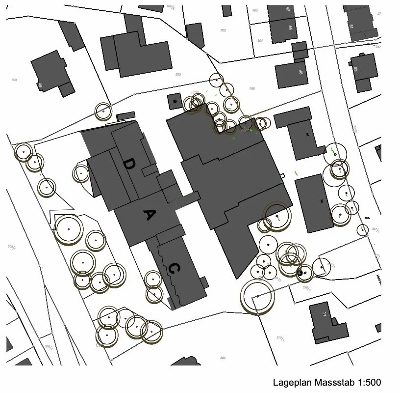 Bild 11.12.25 um 11.24.jpeg