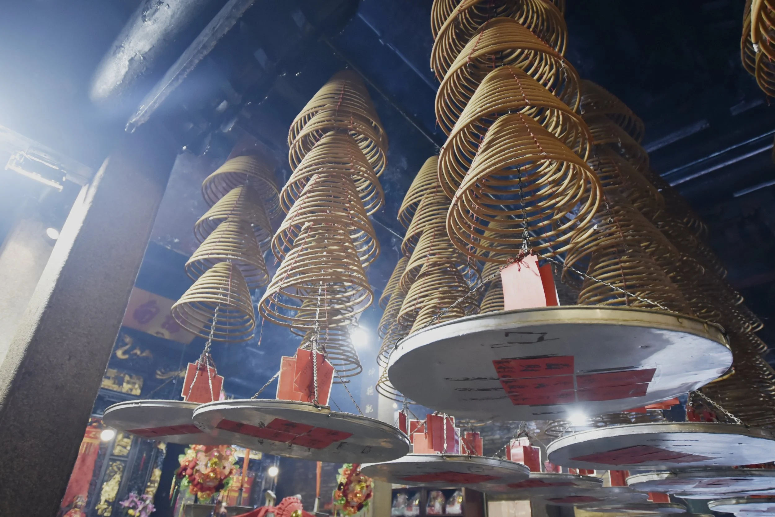 _DSC3503 retouch.jpg