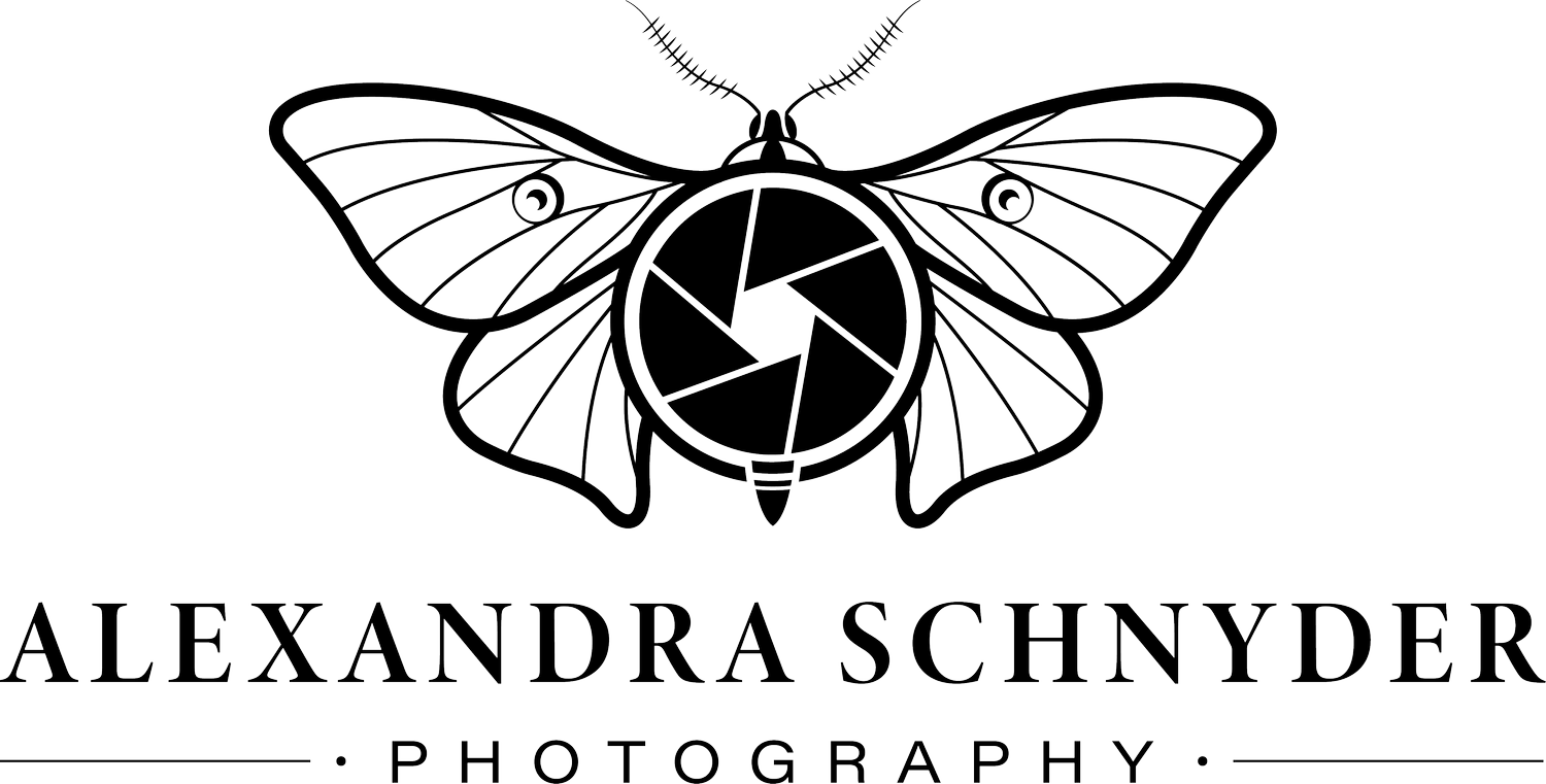 Alexandra Schnyder Photography