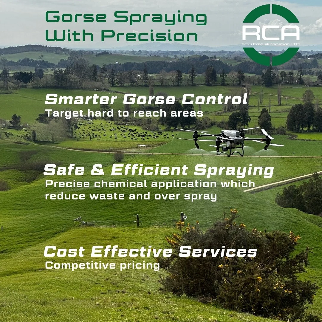 Spring into Gorse control, now&rsquo;s the time!