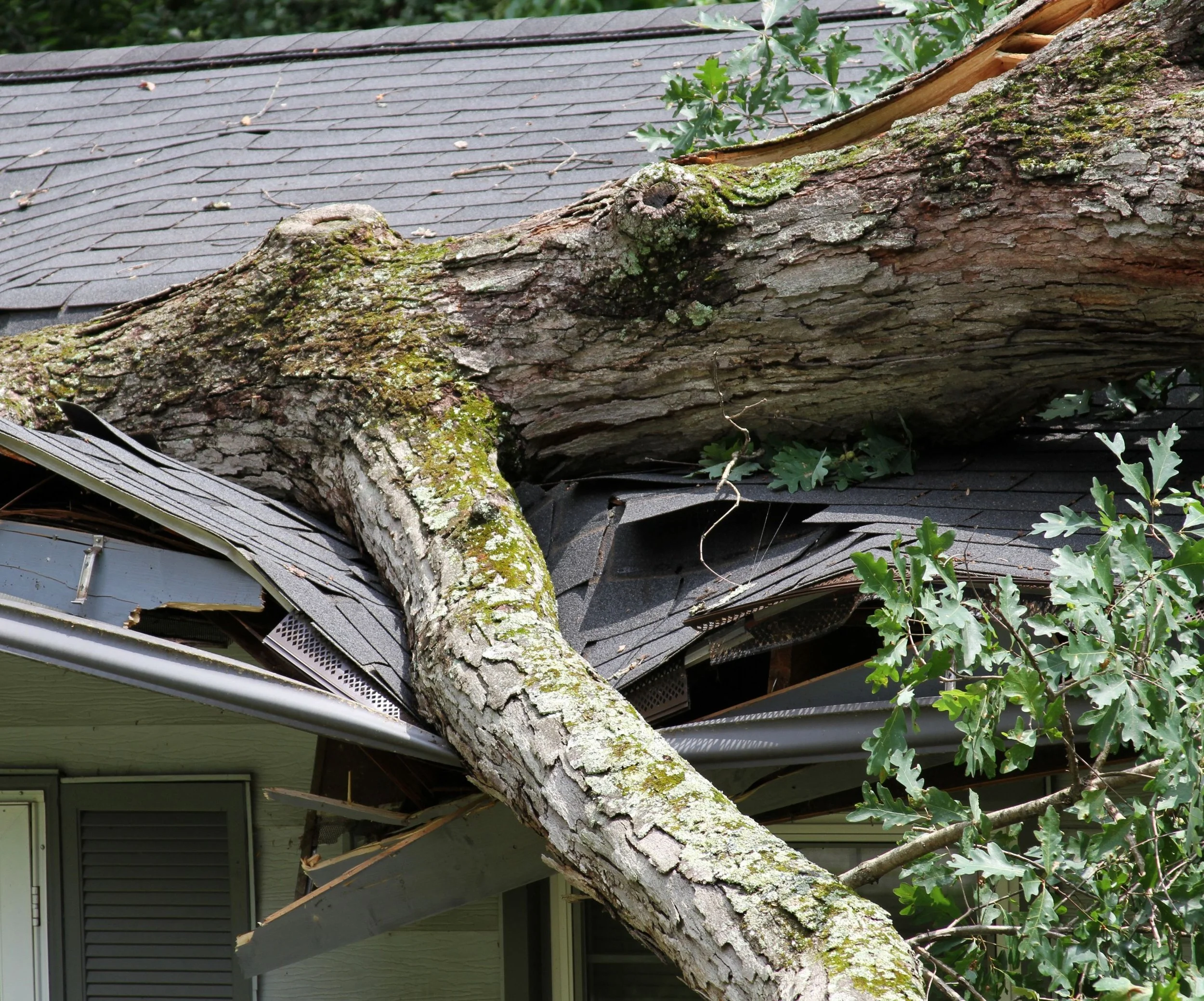 Storm Damage Repair