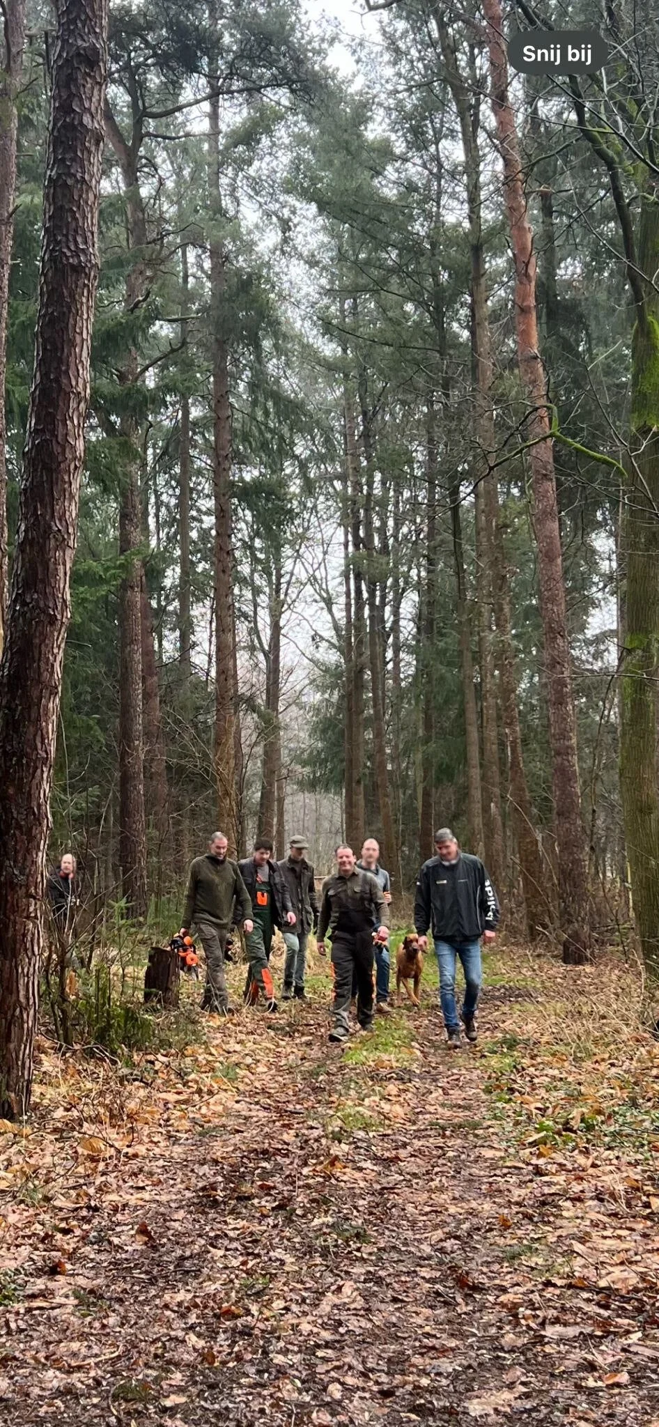 A group of people walking through a forest on a narrow dirt path, with tall trees and leaf-covered ground.