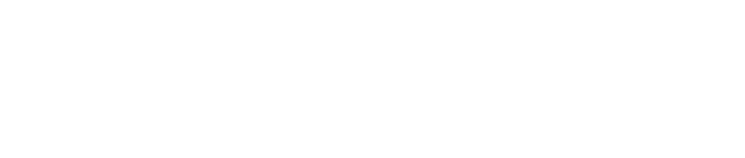Point FWD