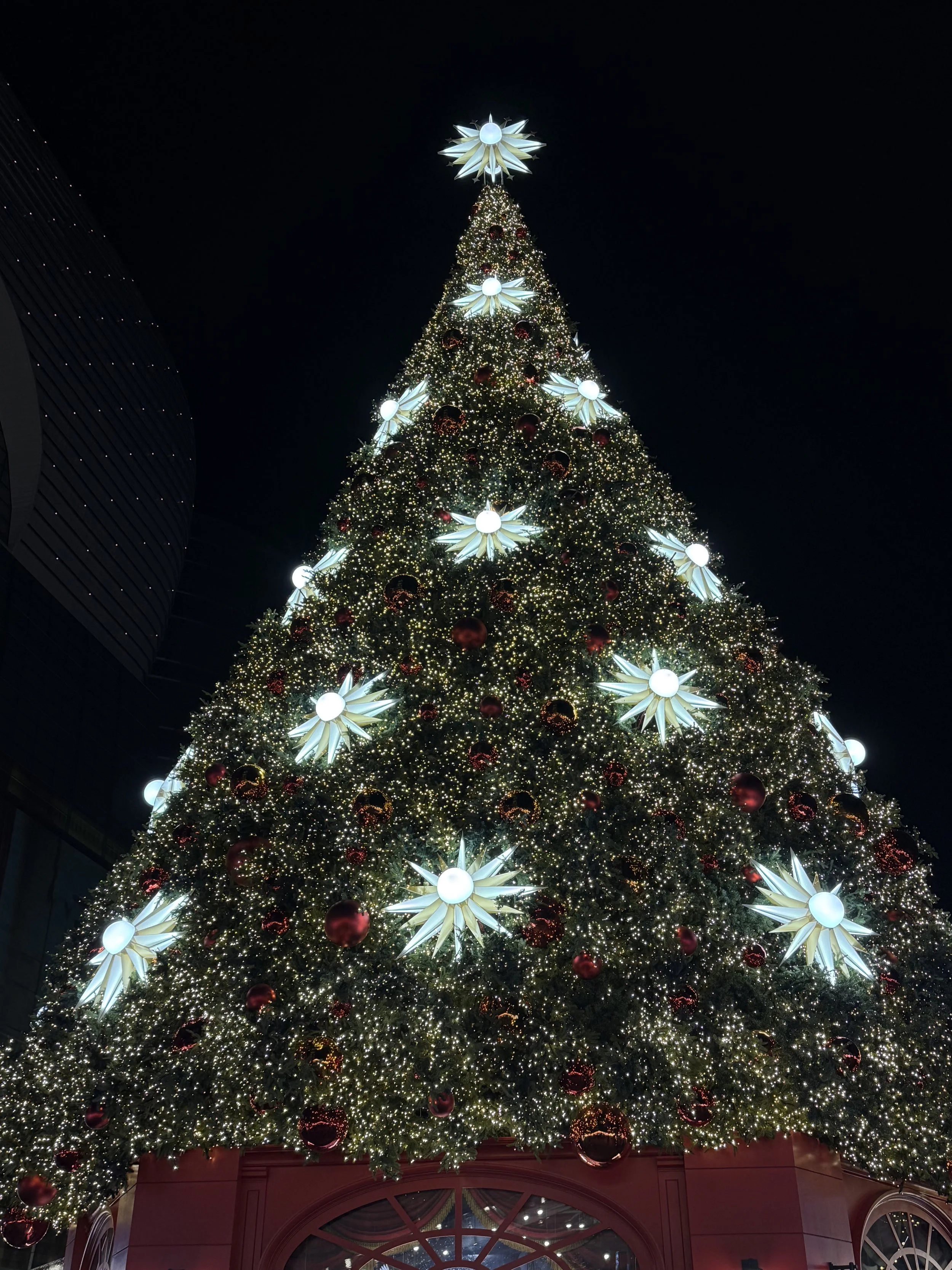Seoul Christmas Spots : 5 Must-Visit During the Jolly Season