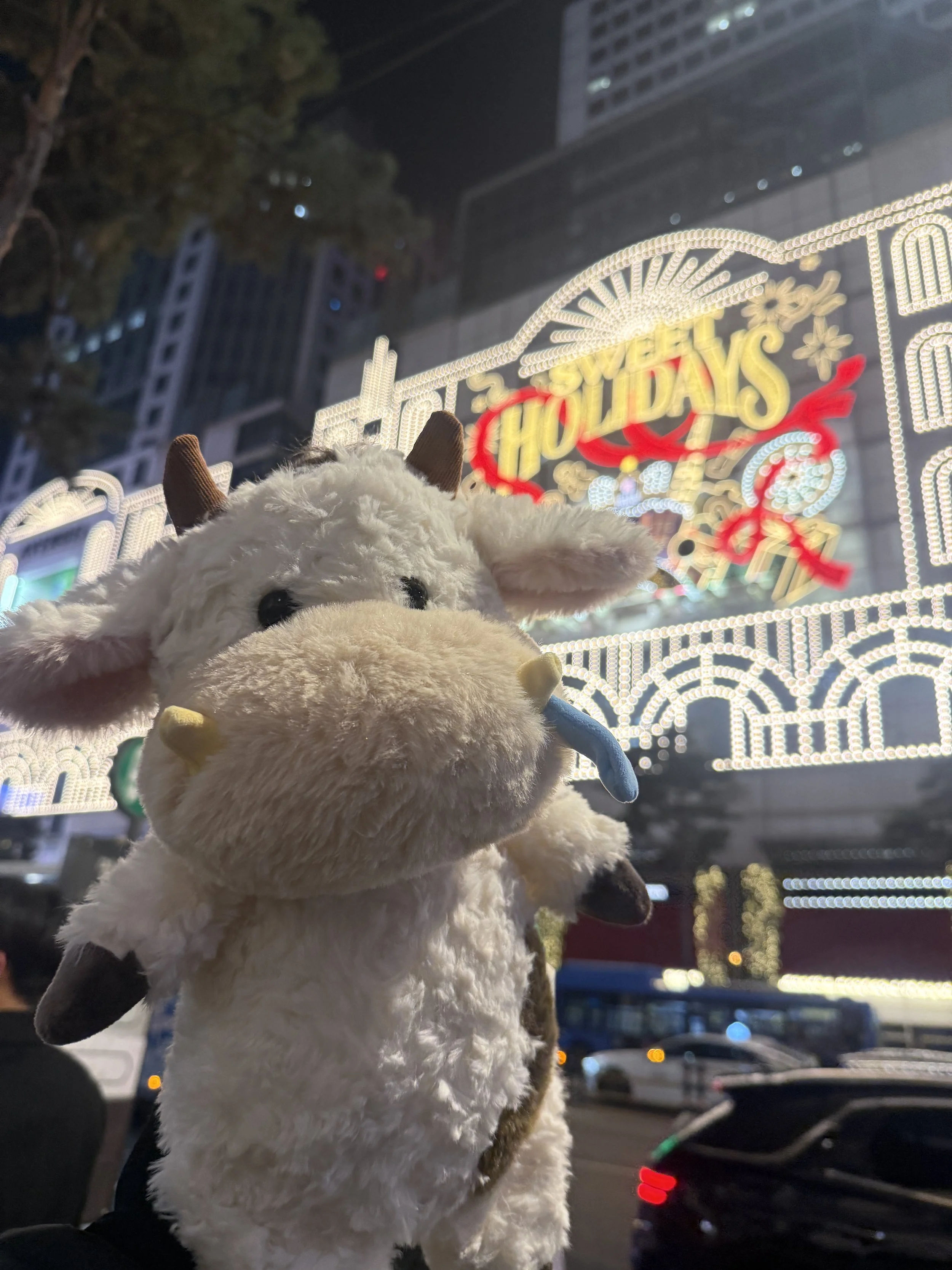 Myeongdong Korean BBQ Mongvely Christmas