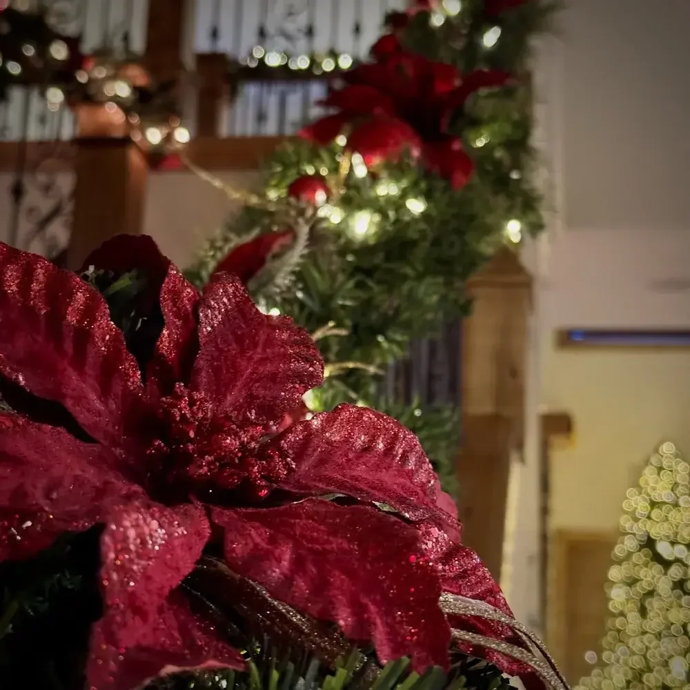 The Year I Lost My Christmas Spirit