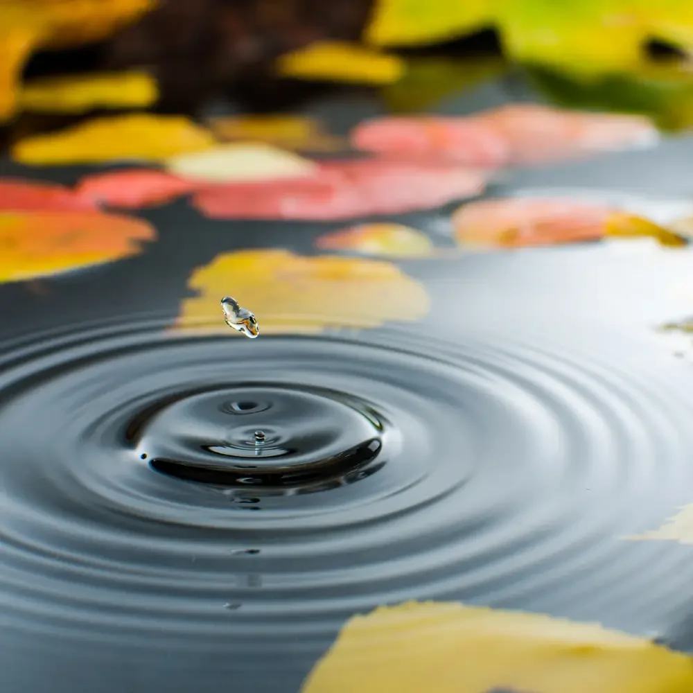 Deficits, Disciplines, and a Resource Bank