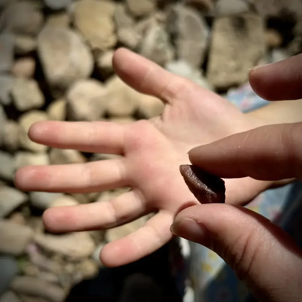 Pebbles of Connection