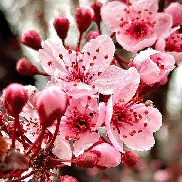 Finding Joy in the Rain