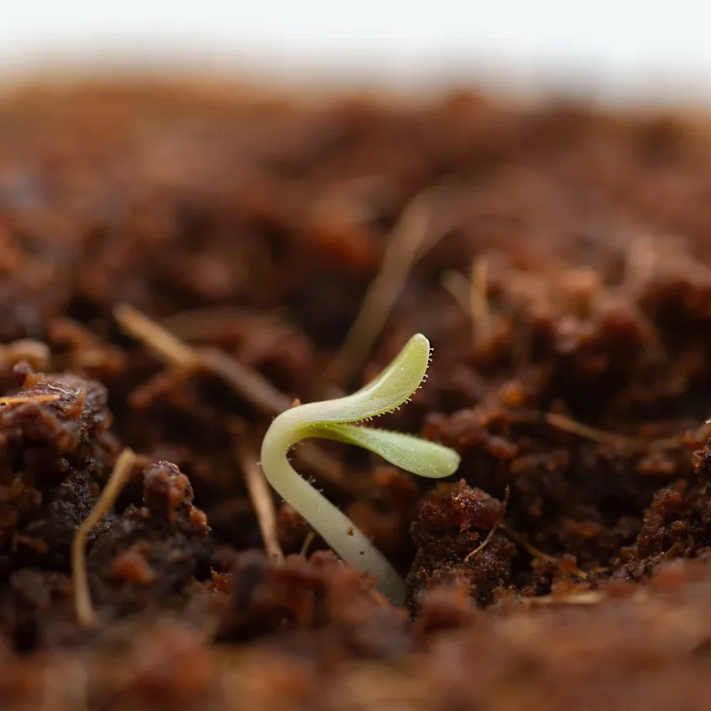 Let’s Get this Thing Started!