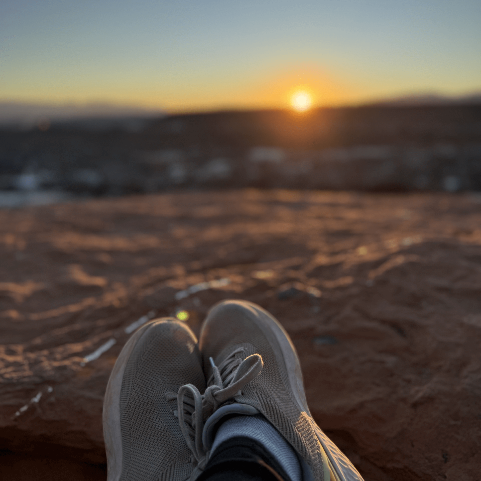 Reflecting Backward and Dreaming Forward