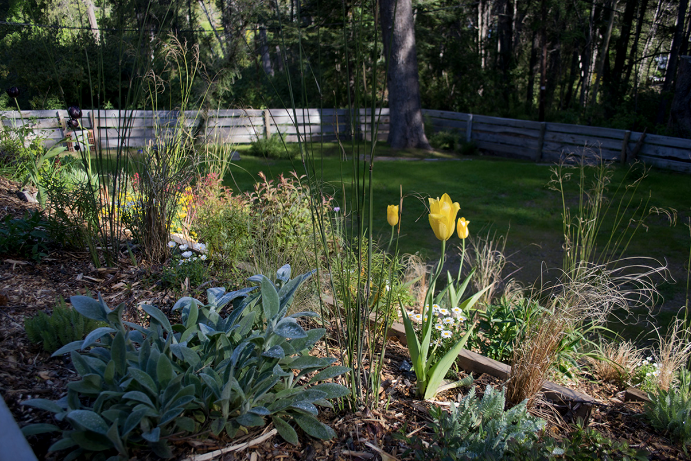Organic Flow design amid Patagonian nature.