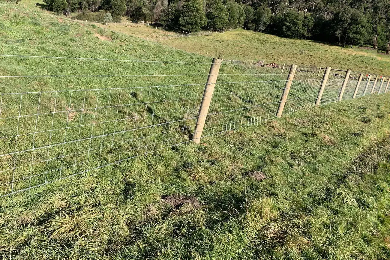Rural fence with wooden posts and wire mesh, stretching across a grassy field, offering a protective boundary for livestock.