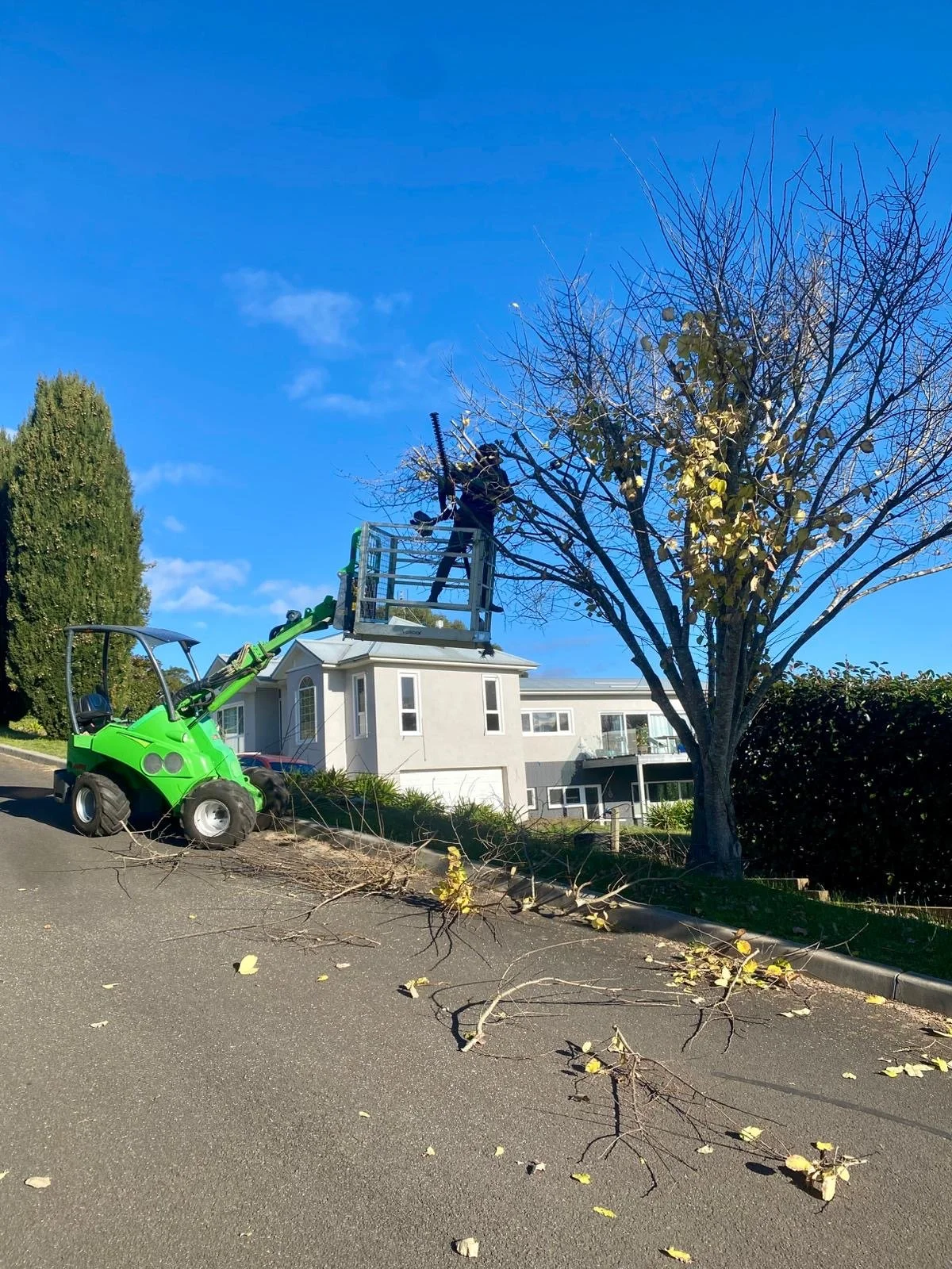 Person on a lift trimming branches from a tree next to a green utility vehicle, with fallen branches on the street and a modern house in the background on a clear day.