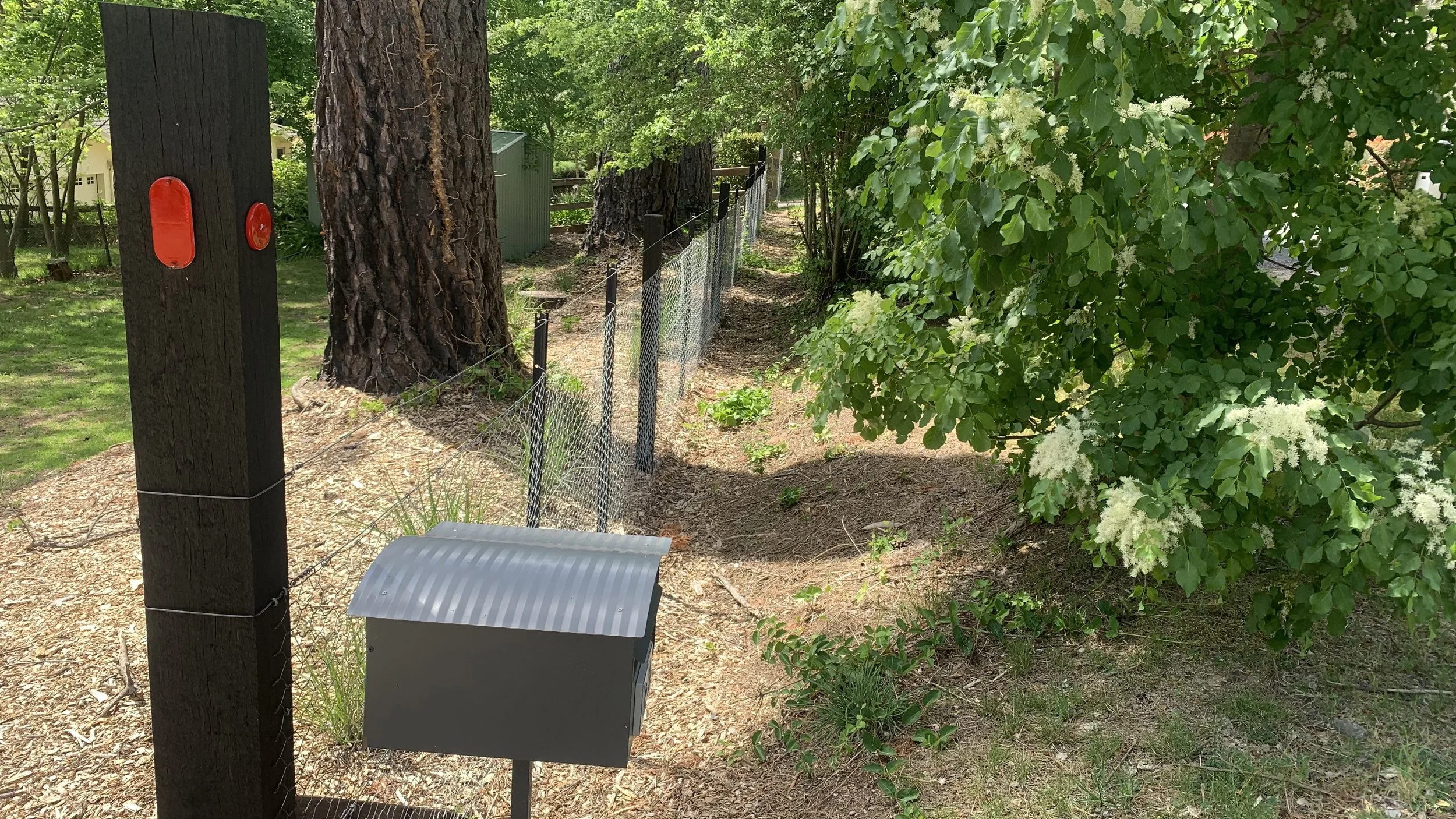Heavy netting fence in a rural setting, surrounded by trees, with a clear view of the natural landscape and protective barrier