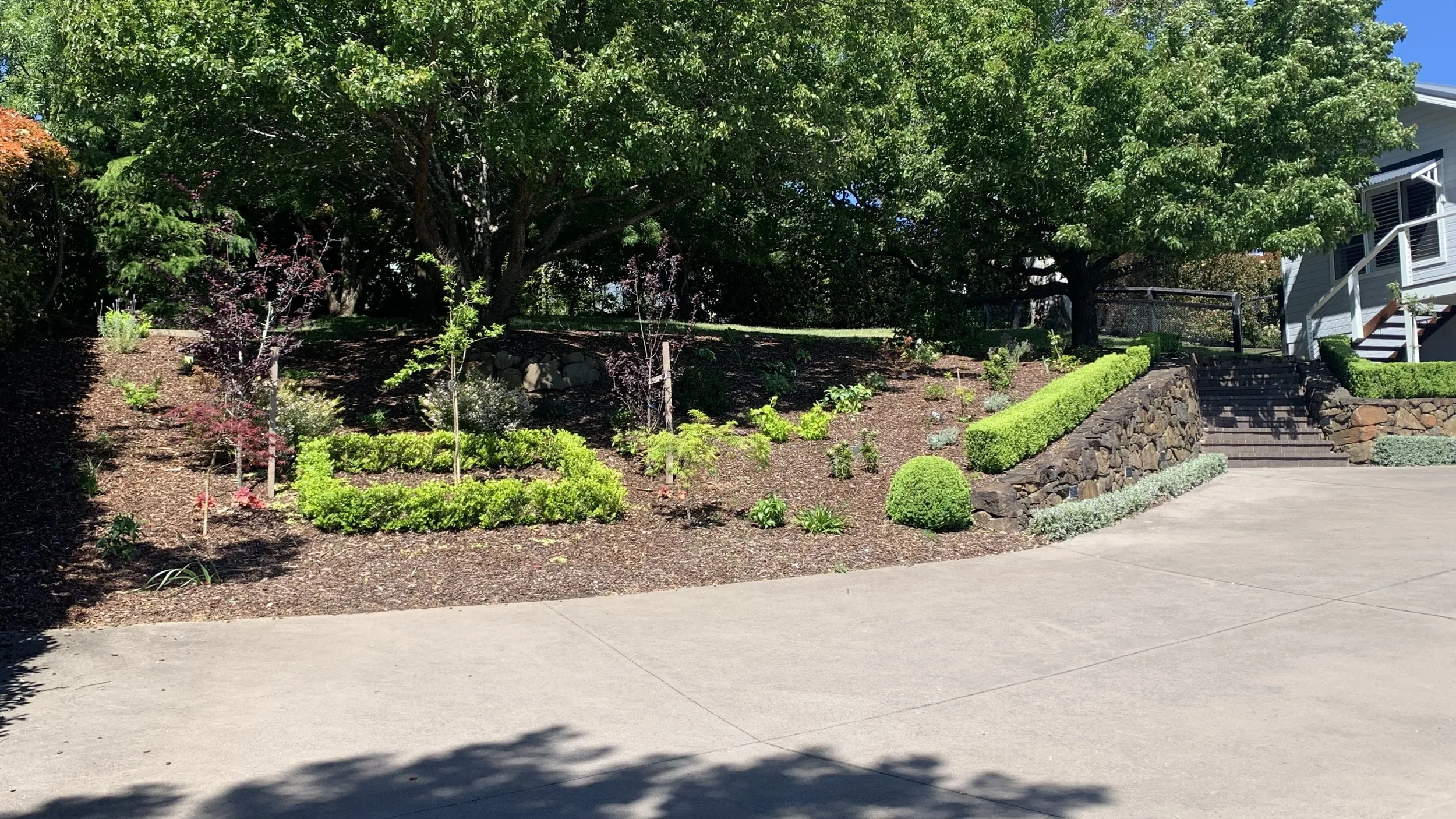 A landscaped front yard with trees, shrubs, and a staircase leading to a house. The yard has a curved porch with concrete driveway in front and bright green bushes along the stairs.