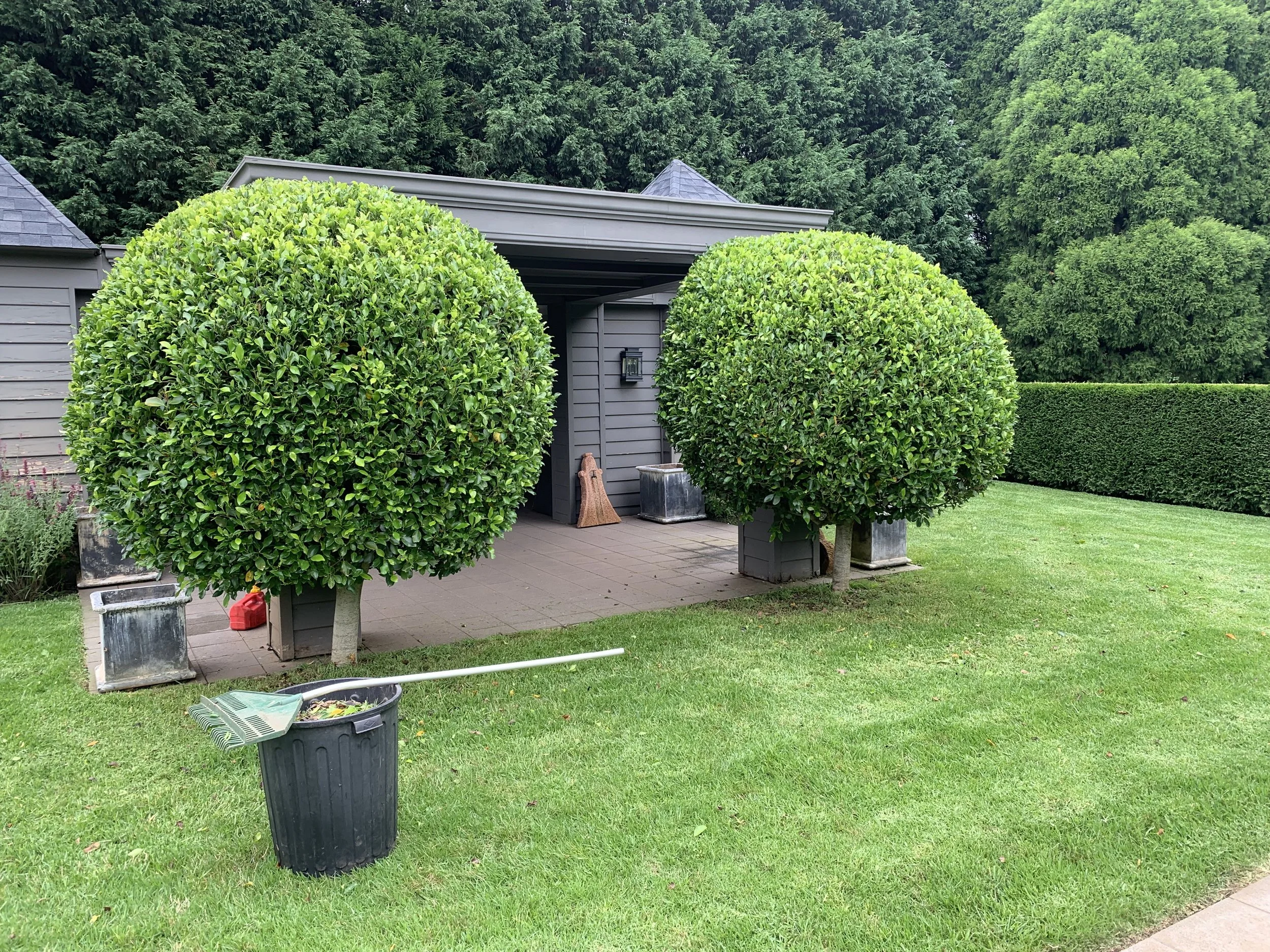 A house with a dark gray exterior and a small covered porch. Two large, round, well-maintained bushes are in front of the porch. There is a trash bin with a broom and dustpan on top of it in the yard. The lawn is green and well-kept, with a background of tall trees and a hedge.