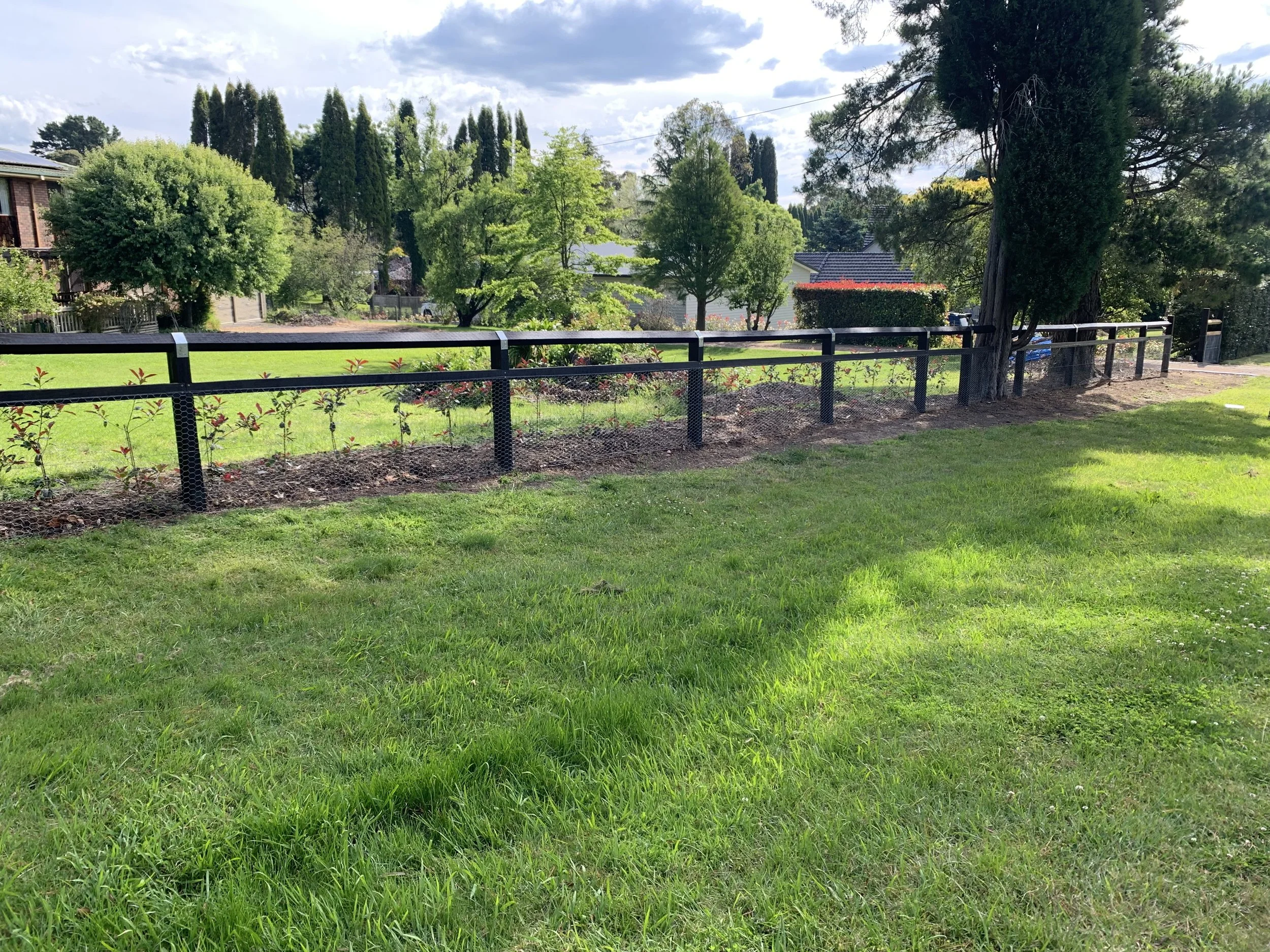 A grassy park area with a black metal fence, trees, and a cloudy sky.