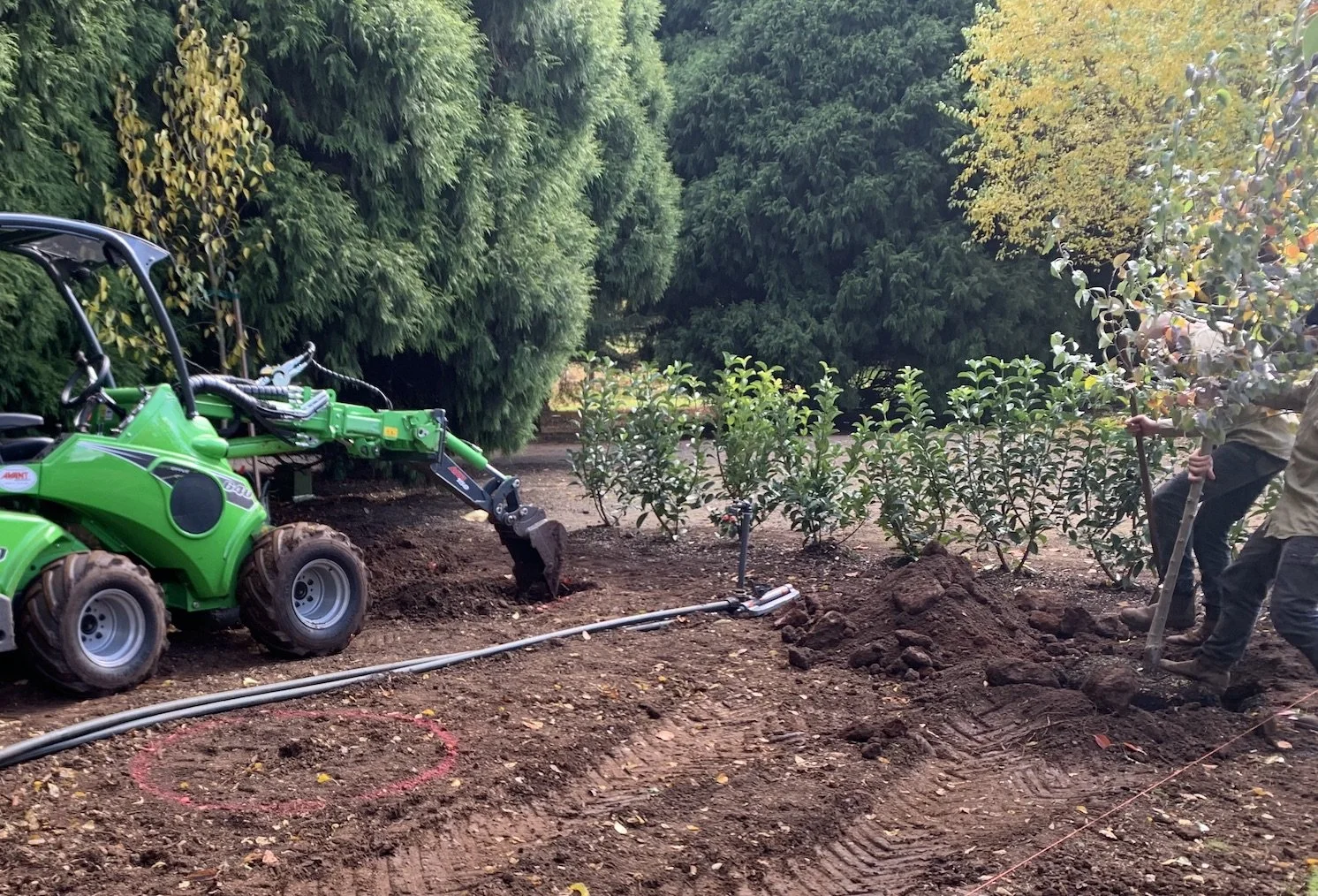 green Avant loader with digger attachment digging hole in ground with green bush in the background