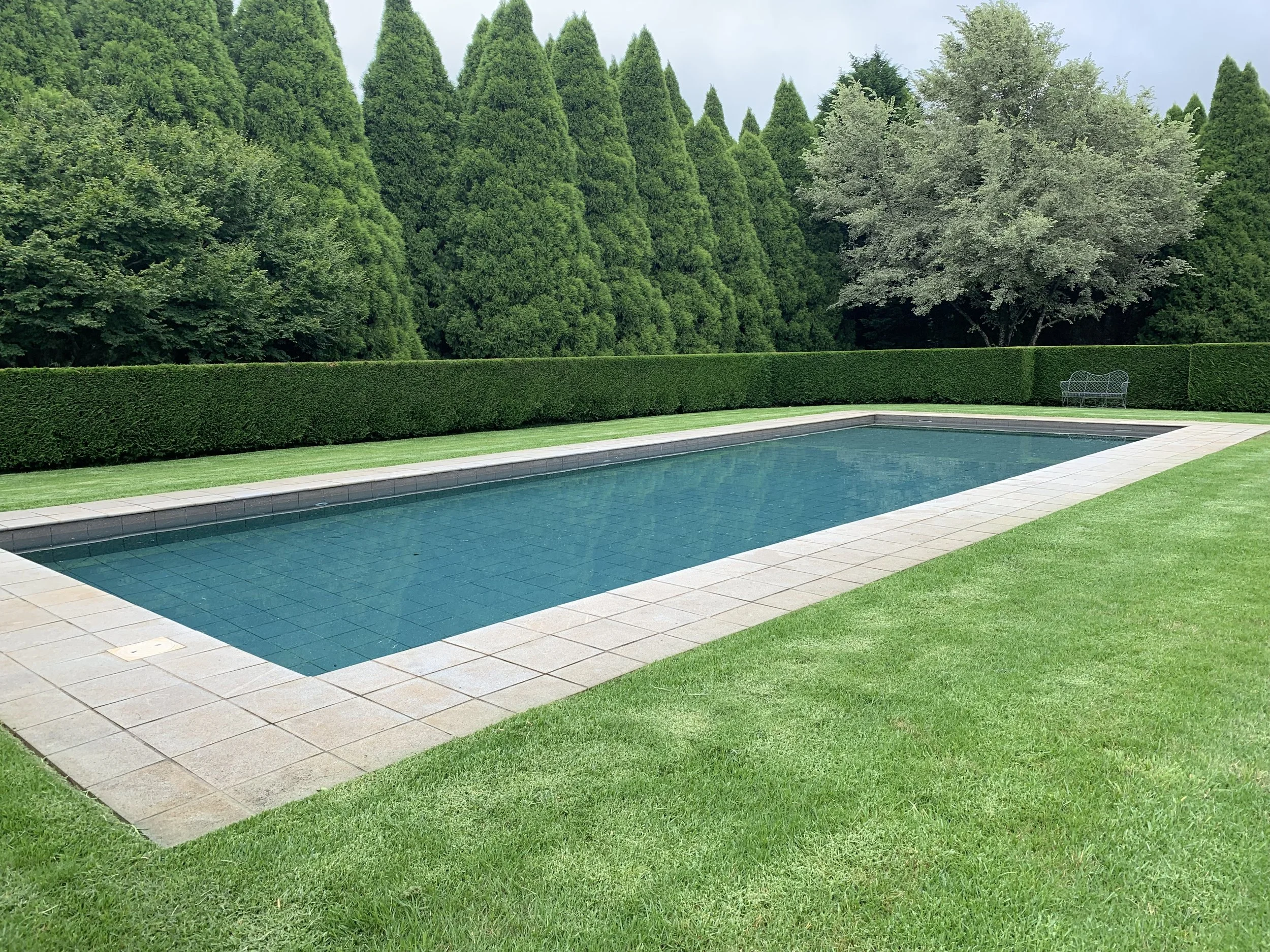 A backyard swimming pool surrounded by well-manicured grass and a hedge, with tall green trees in the background and a bench near the pool edge.