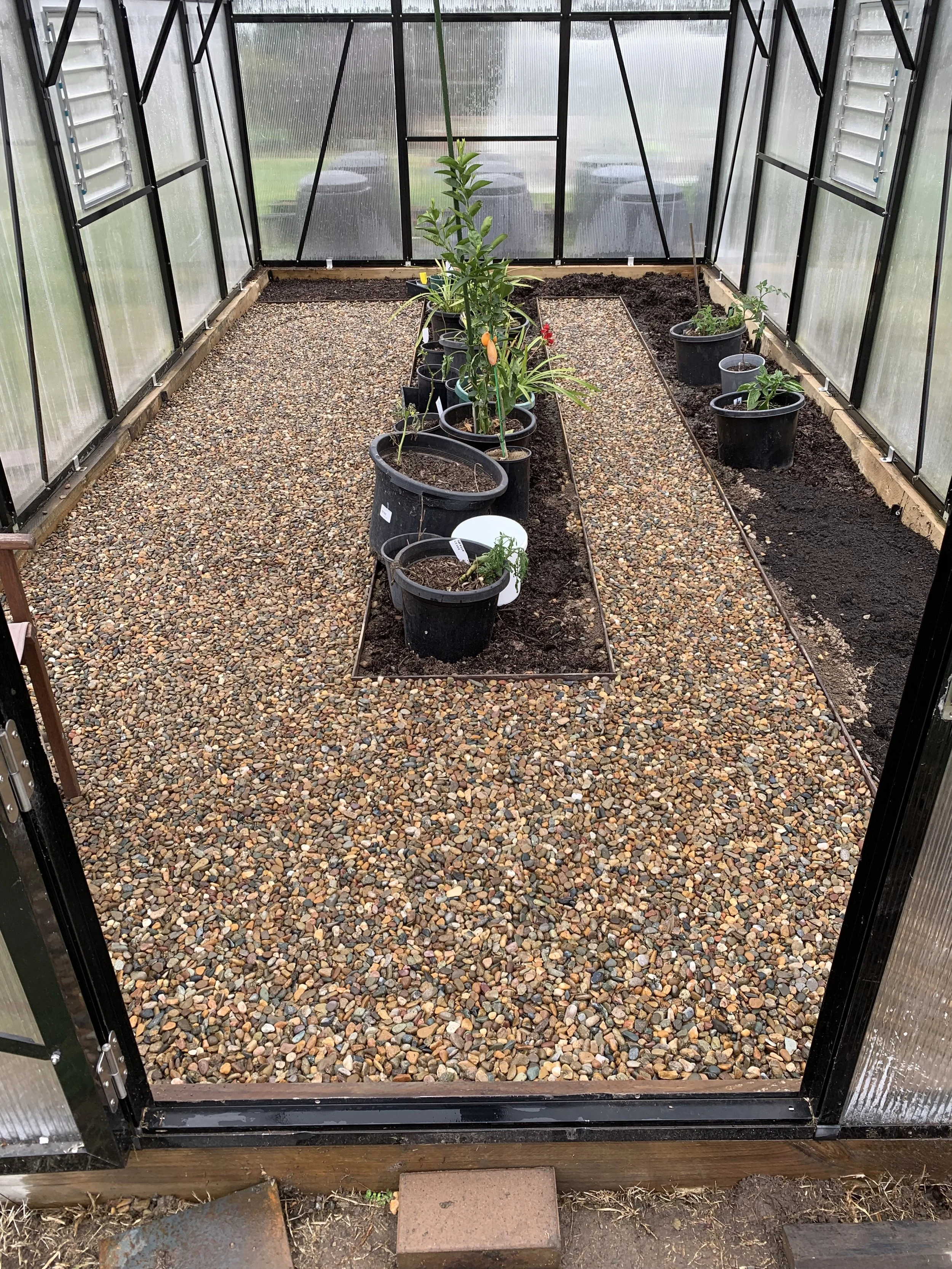 Steel-edged garden bed and pathway filled with pebbles inside a greenhouse, surrounded by potted plants