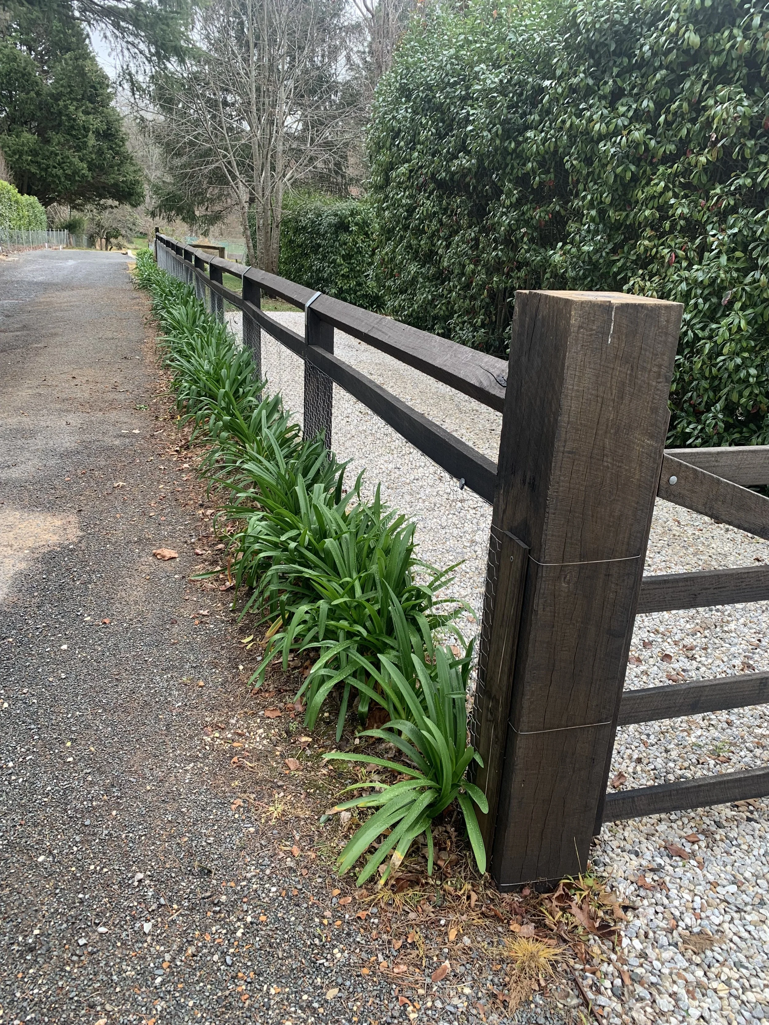 Landscaped property fence with greenery and gravel driveway, showcasing neat garden borders and a wooden fence in a residential setting.