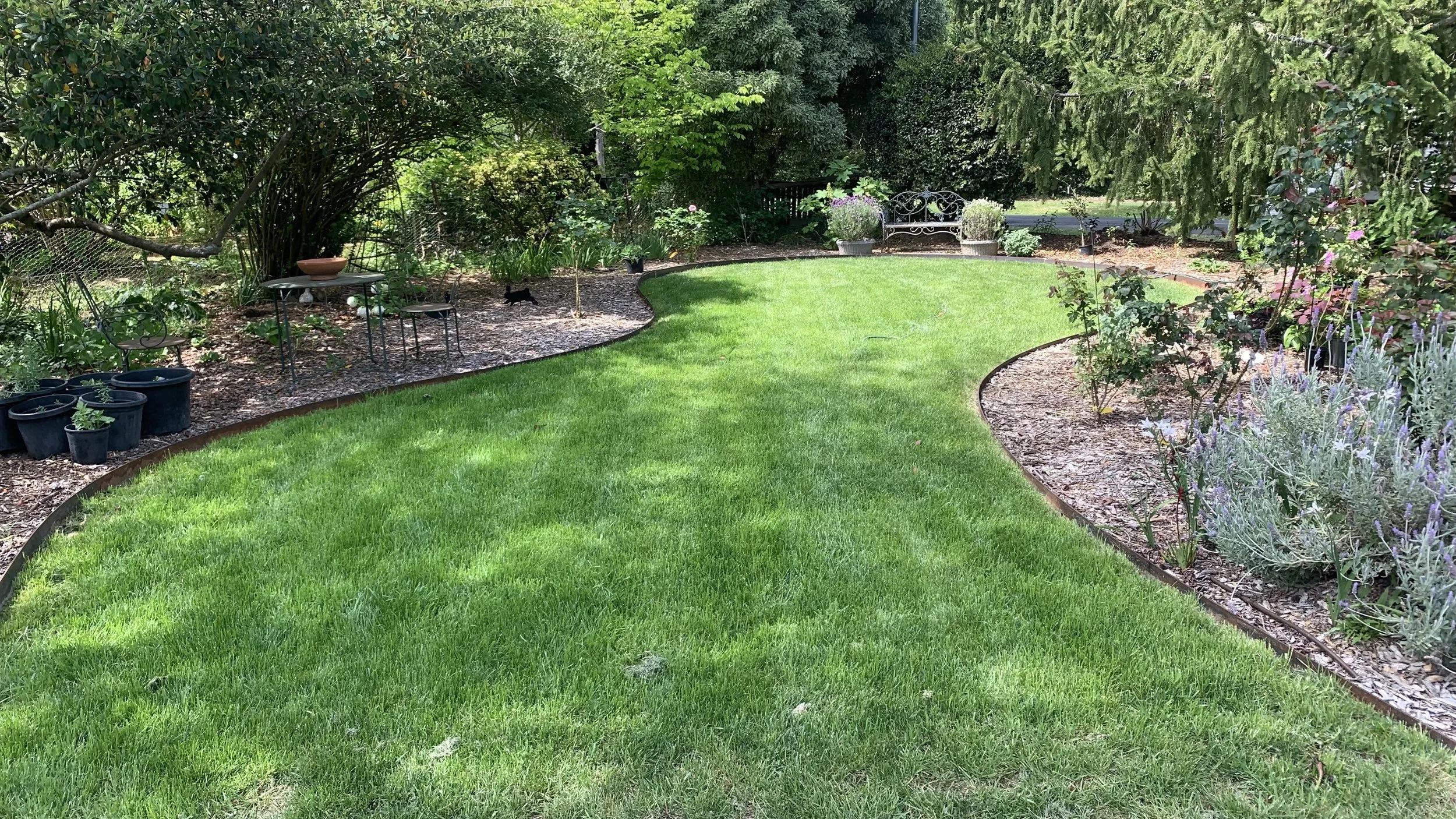 Lush green garden with steel edging, newly laid turf, and a complete irrigation system installed for efficient watering
