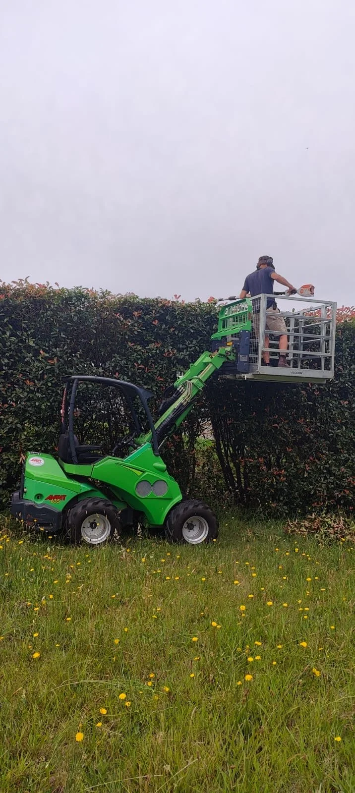 green Avant loader with cage attachment and someone trimming a hedge