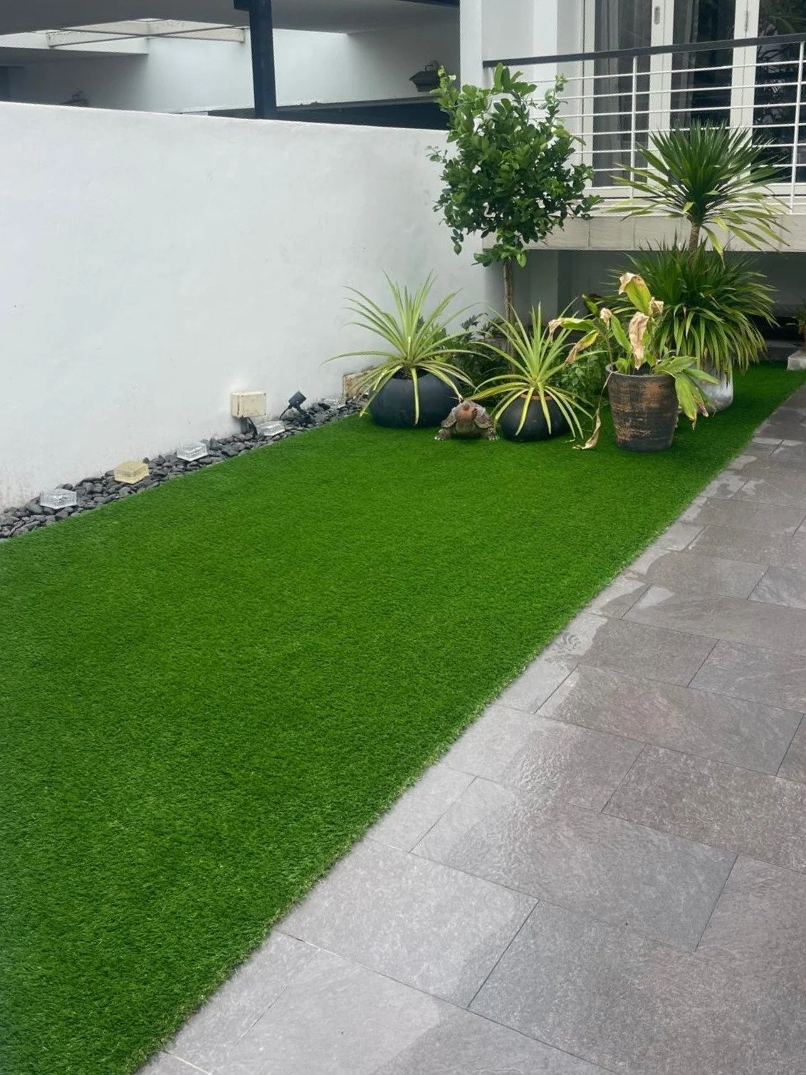 WhatsApp Image 2025-11-22 at 9.19.13 AM.JPG