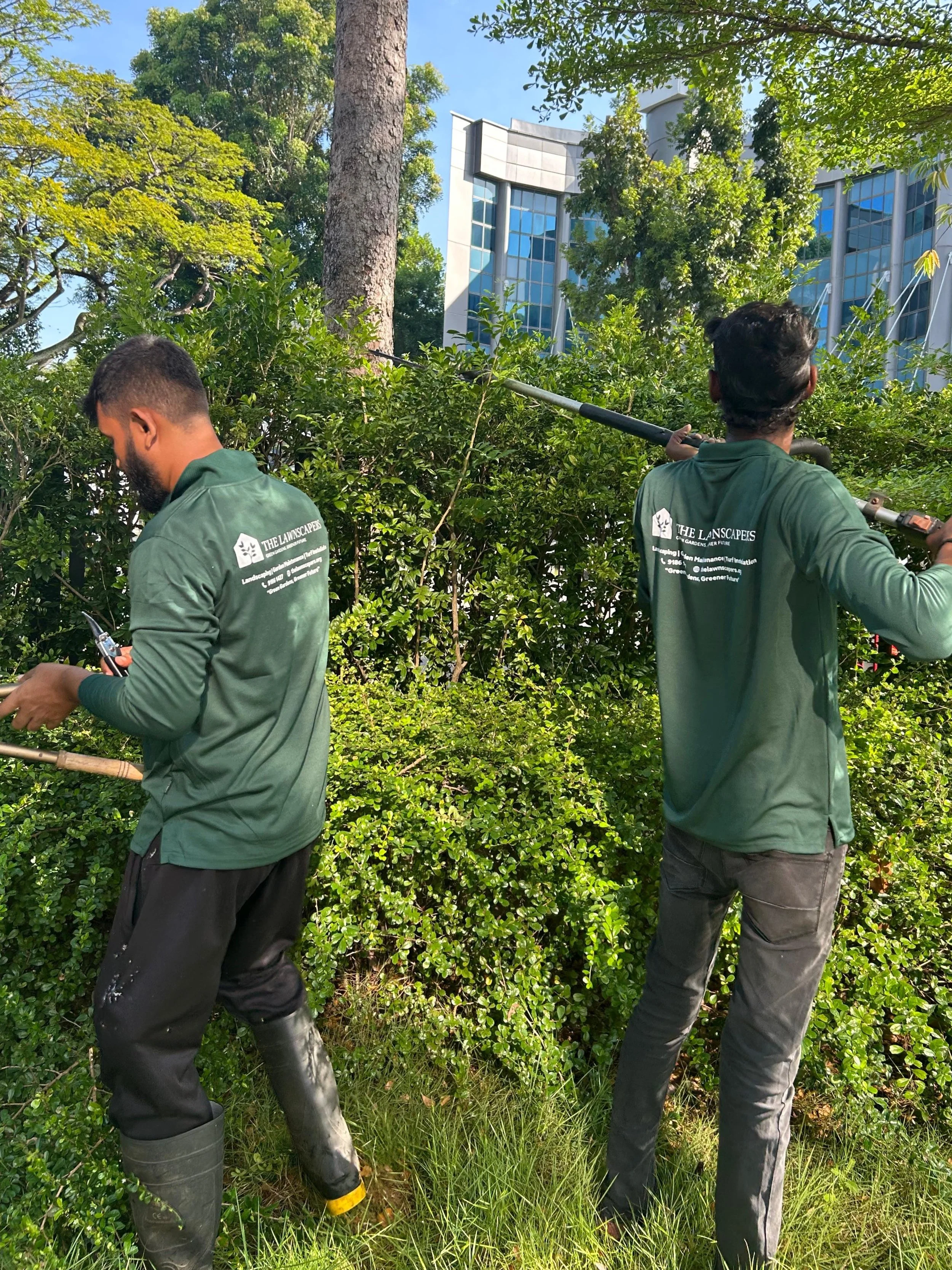 WhatsApp Image 2025-11-22 at 9.11.19 AM.JPG