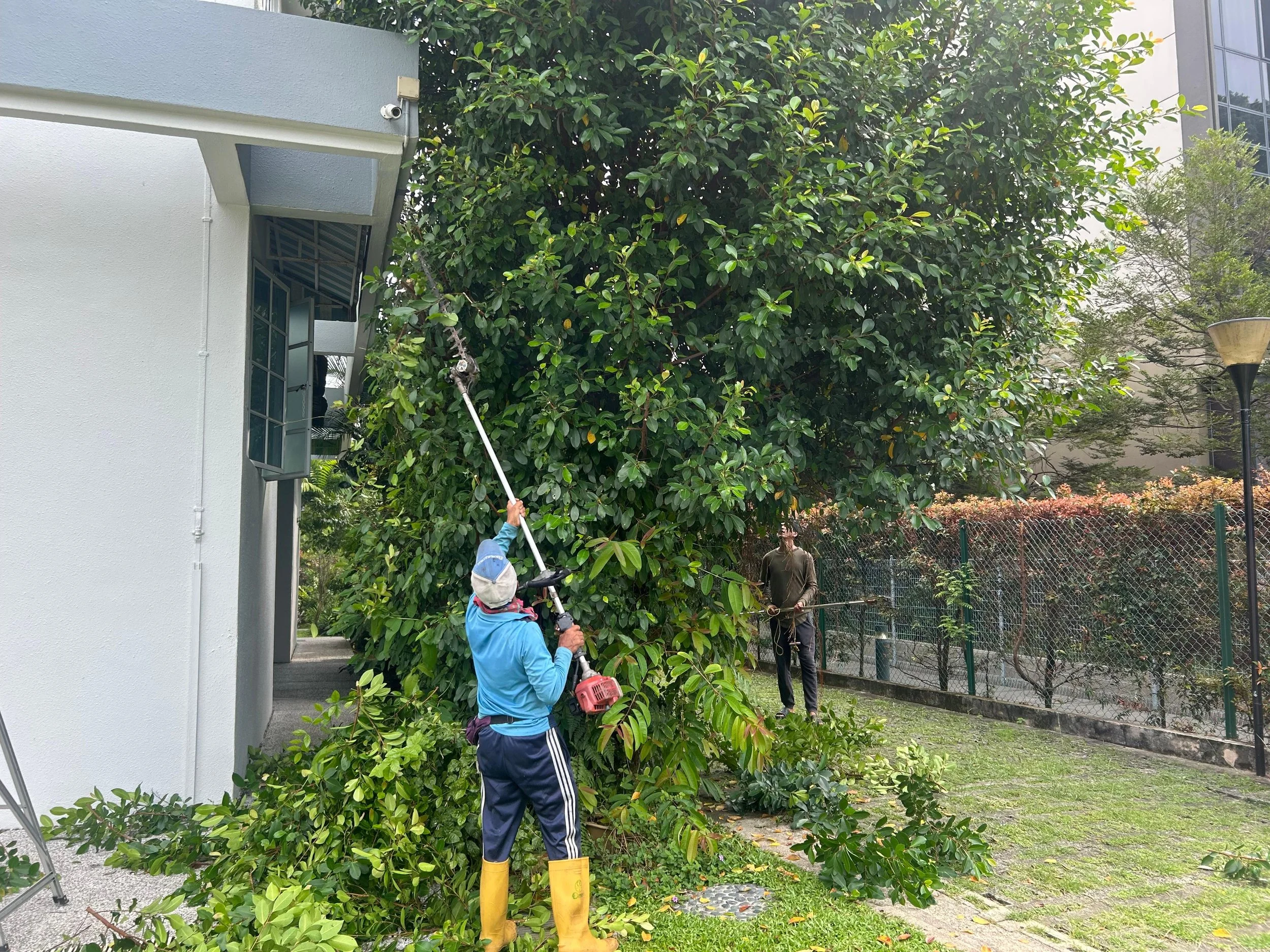 WhatsApp Image 2025-09-02 at 12.30.50 PM.jpeg