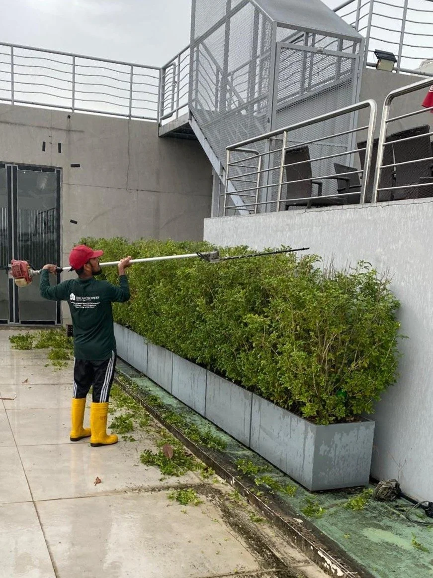 WhatsApp Image 2025-11-22 at 9.11.19 AM (2).JPG