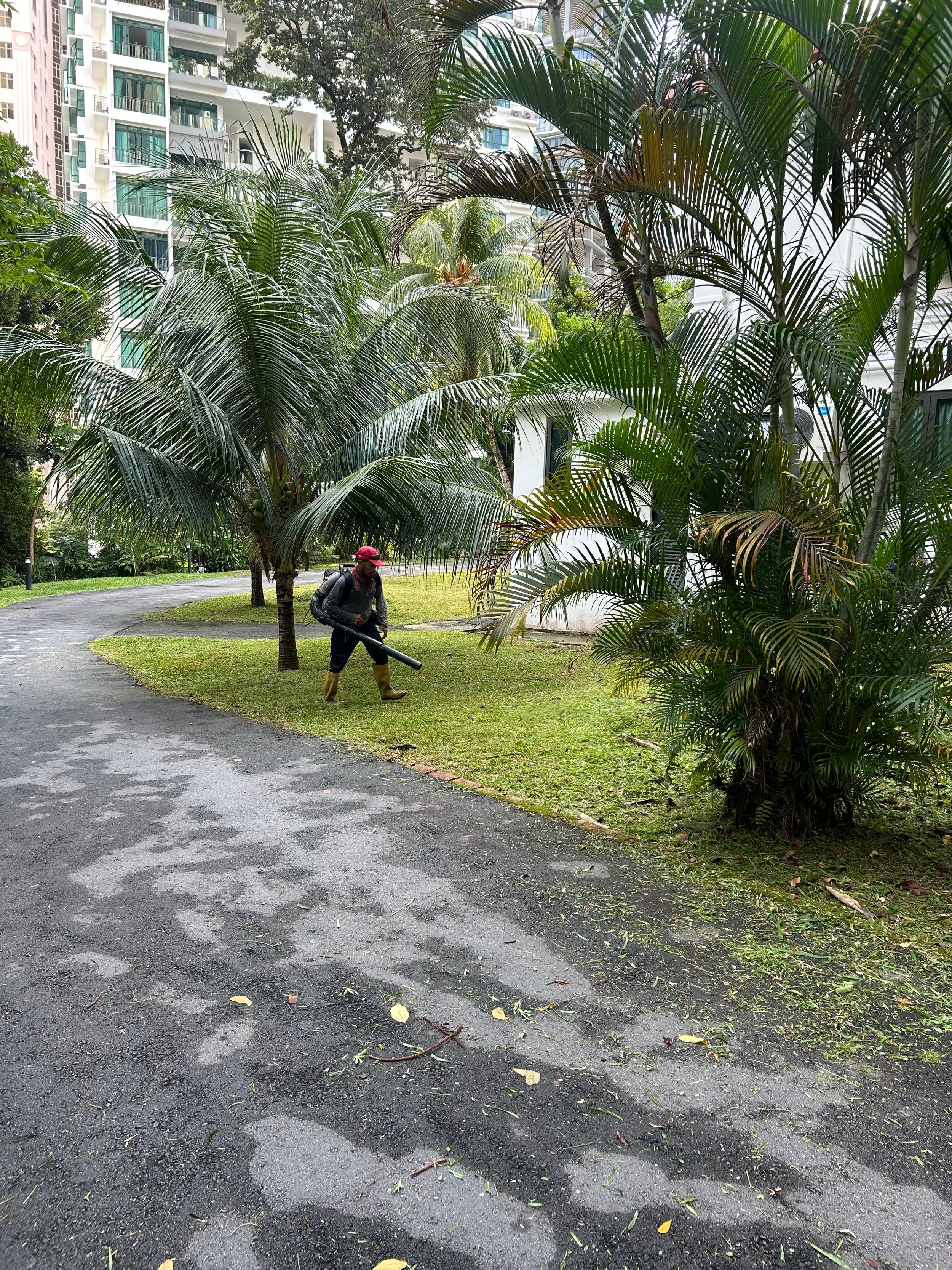 WhatsApp Image 2025-11-22 at 9.44.57 AM.jpeg