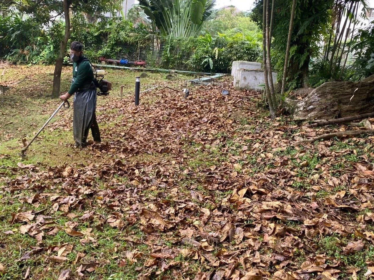 WhatsApp Image 2025-11-22 at 9.11.19 AM (4).JPG